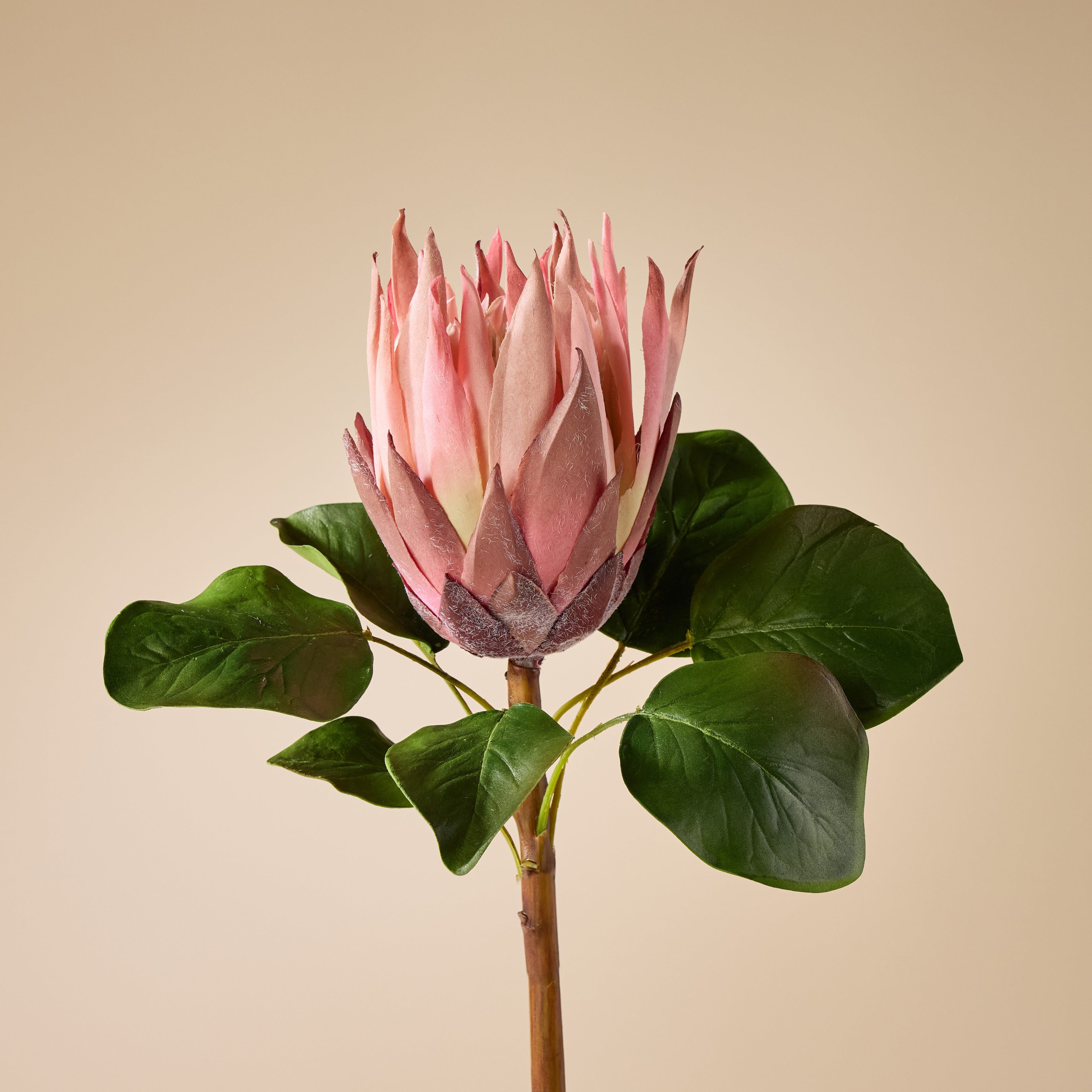 Faux King Protea Stem | Pink - 60cm