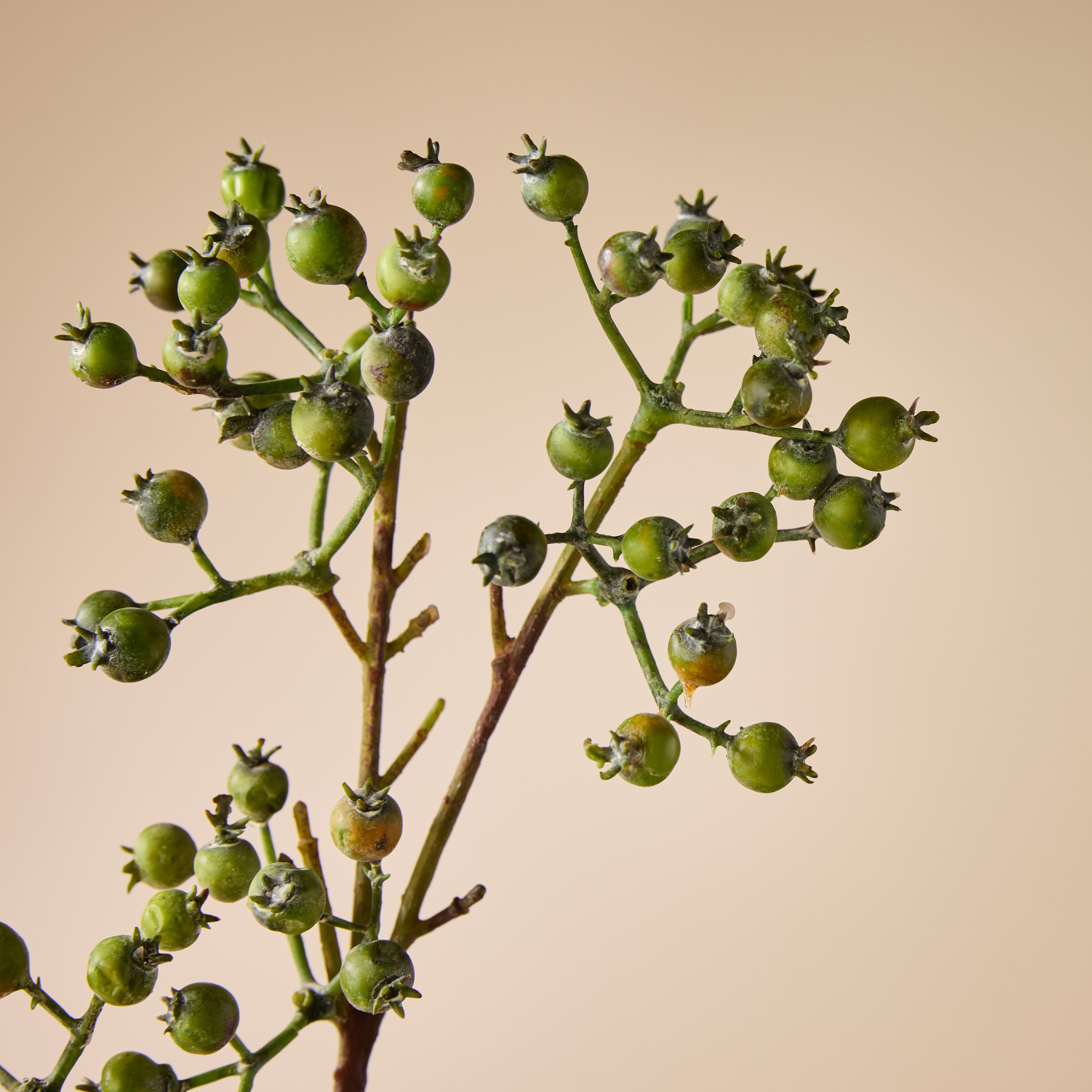 Faux Green Berries Spray | Green - 64cm
