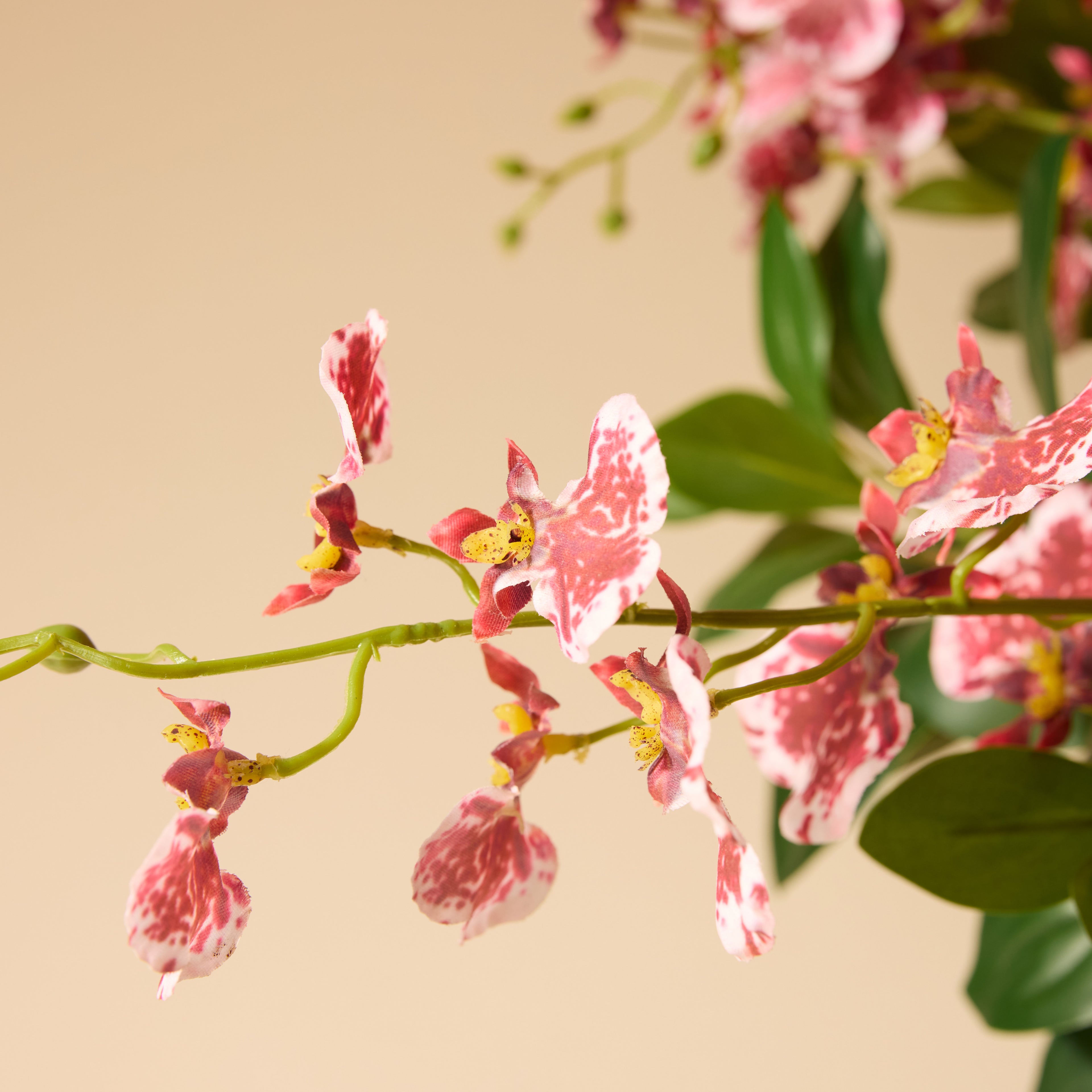 Faux Dancing Orchids - Madelyn Bowl | Burgundy - 67cm