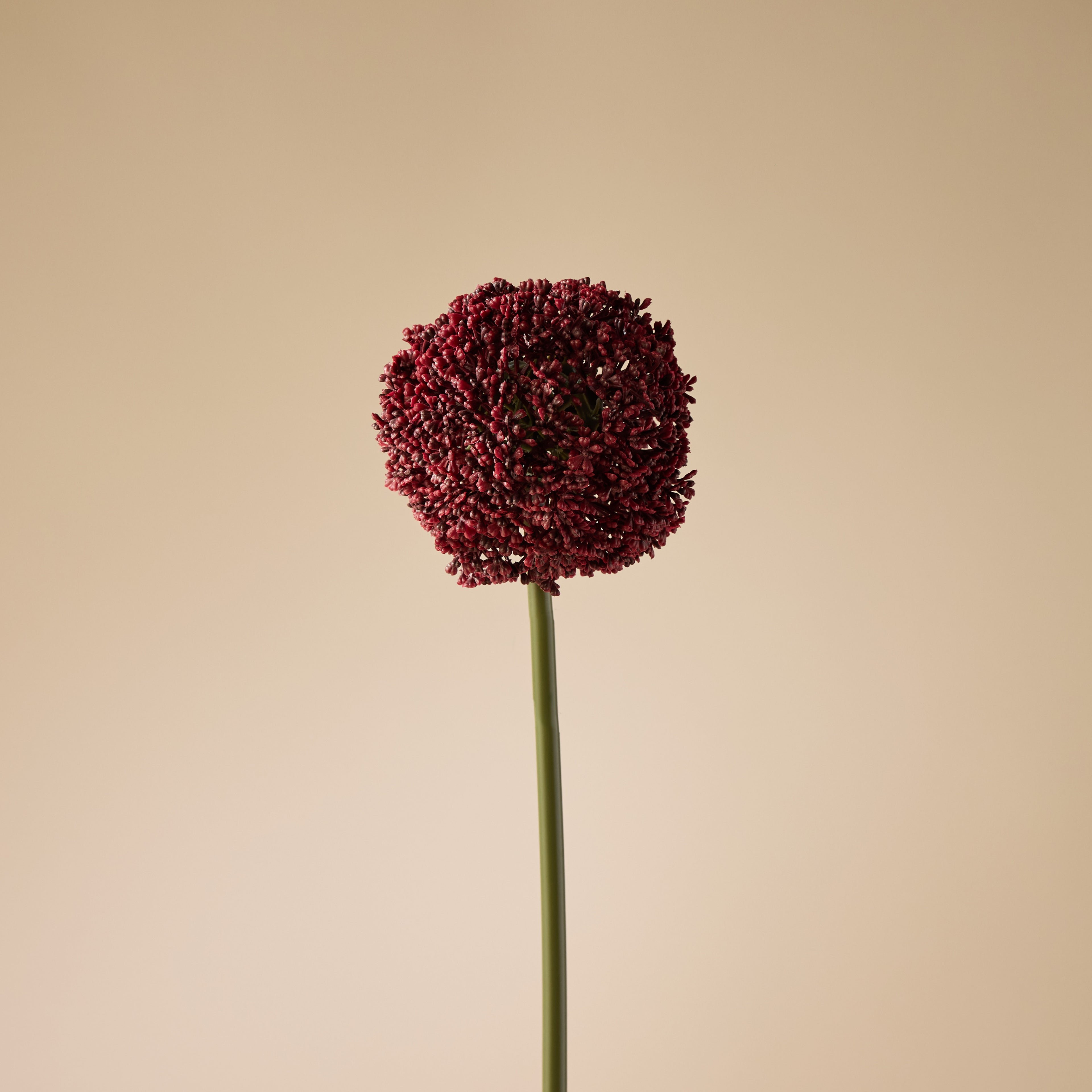 Faux Allium Stem | Burgundy - 76cm
