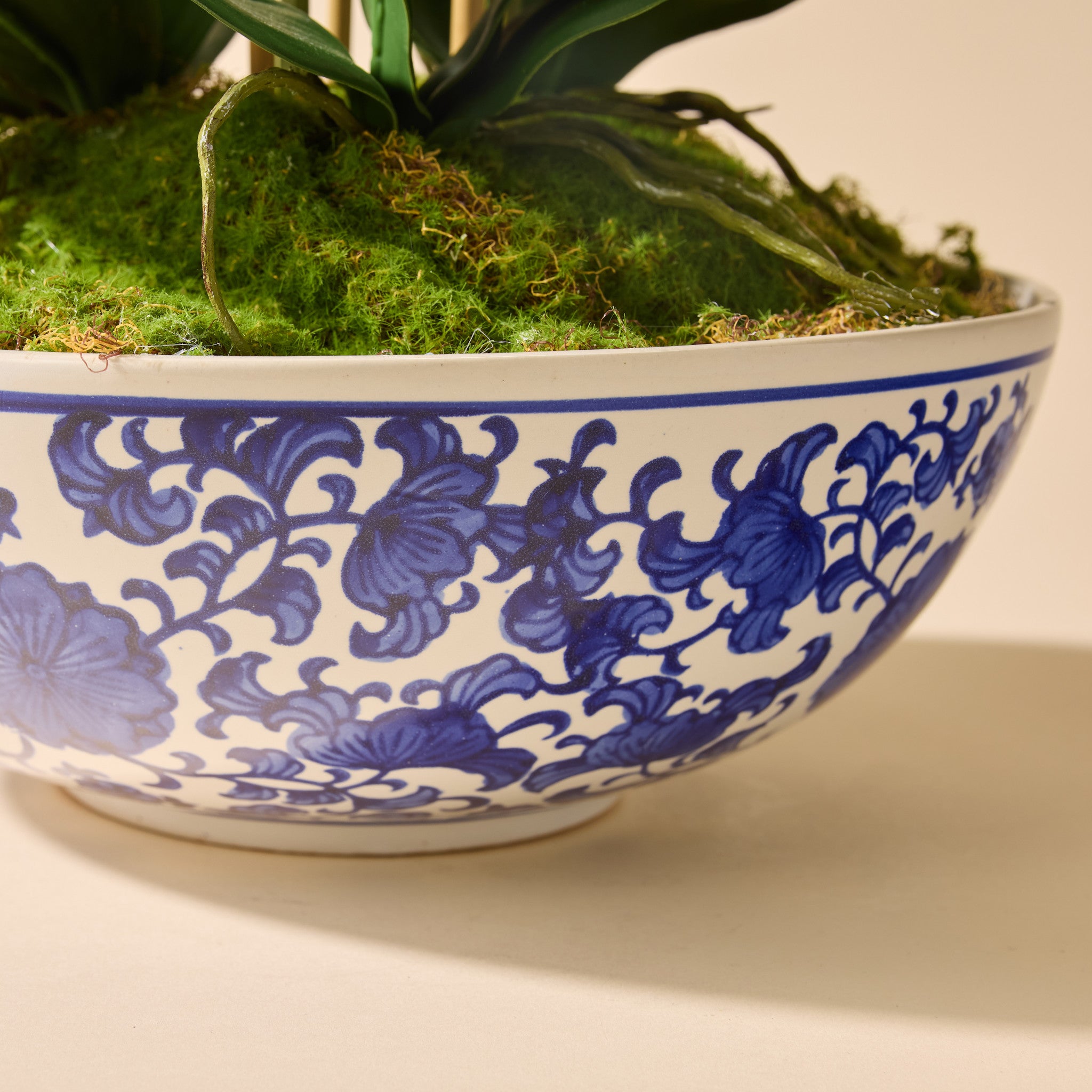 Faux Phalaenopsis Orchid - Blue and White Bowl | White - 66cm