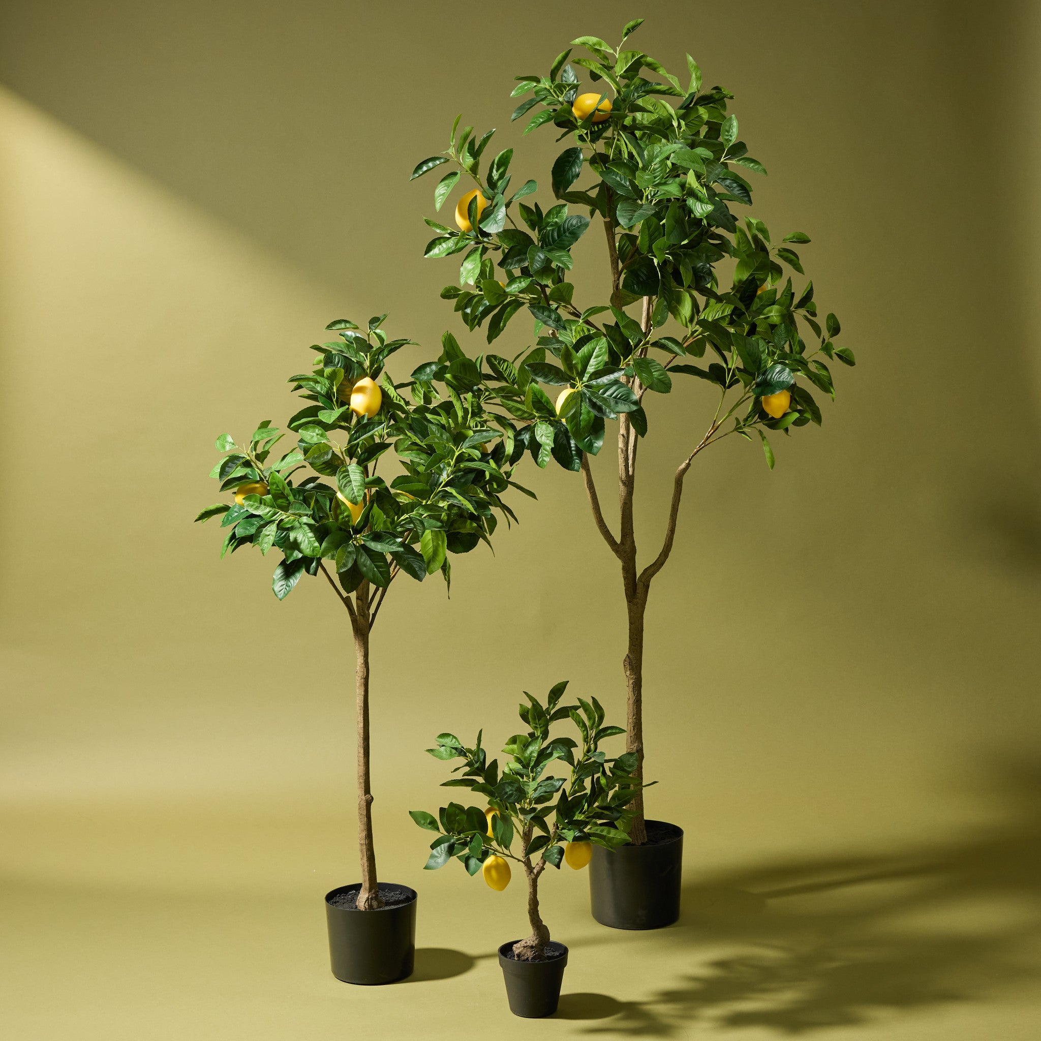 Faux Lemon Tree | 180cm