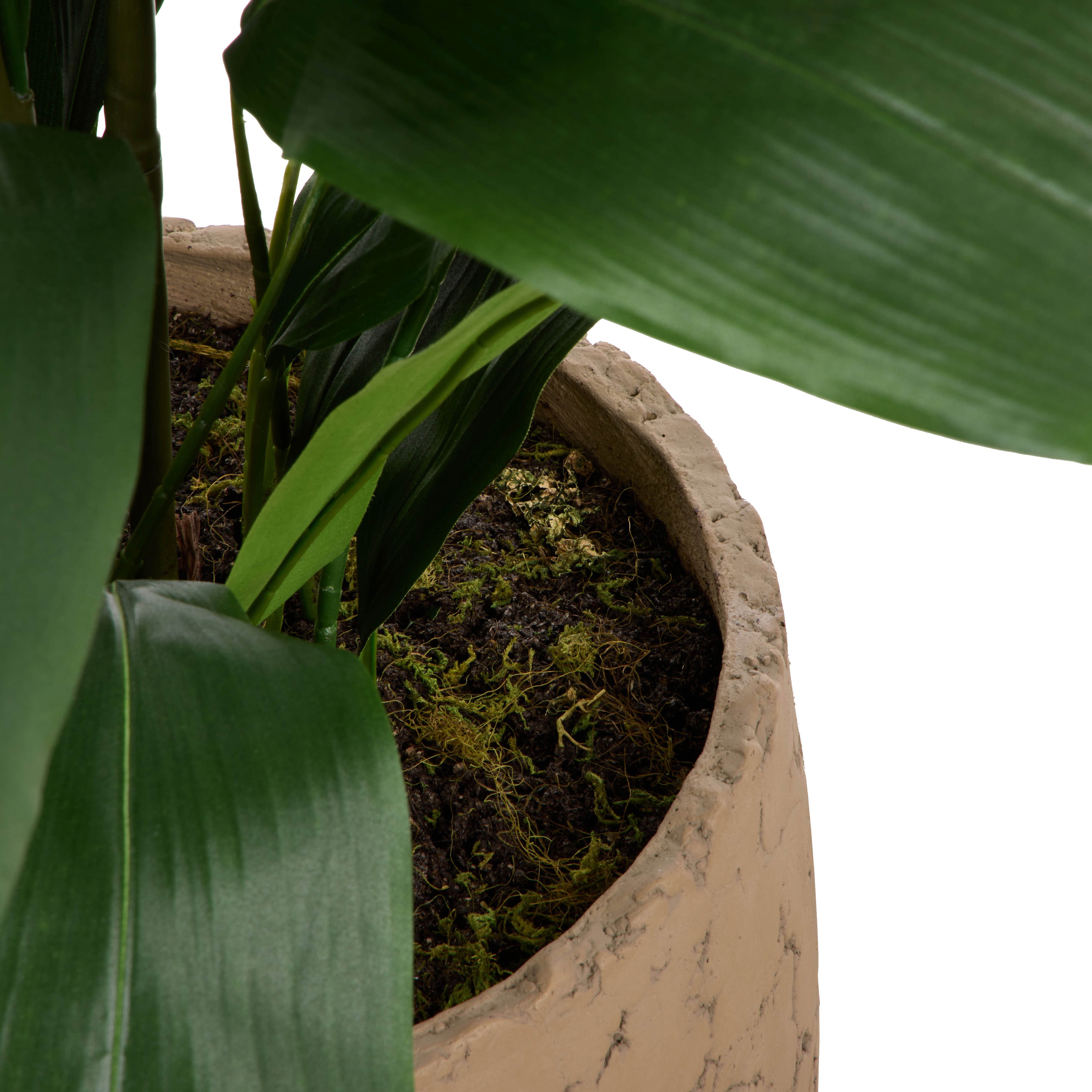 Faux Cast Iron Plant UV Treated - Oliver Pot | Green - 116cm