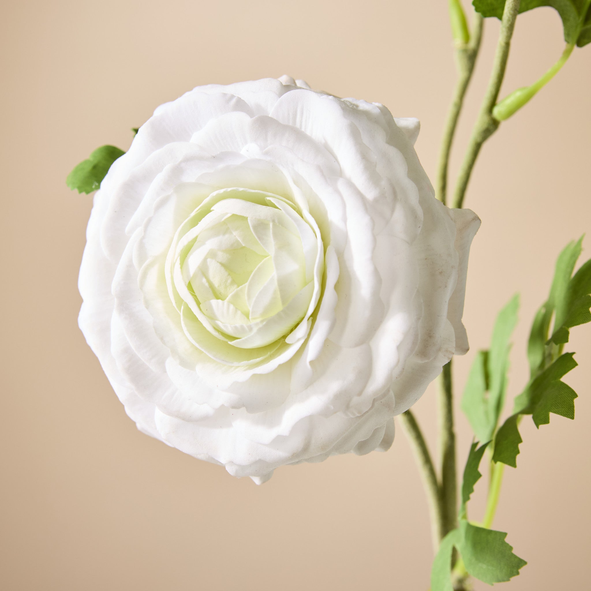 Faux Real Touch Ranunculus Spray | White - 60cm