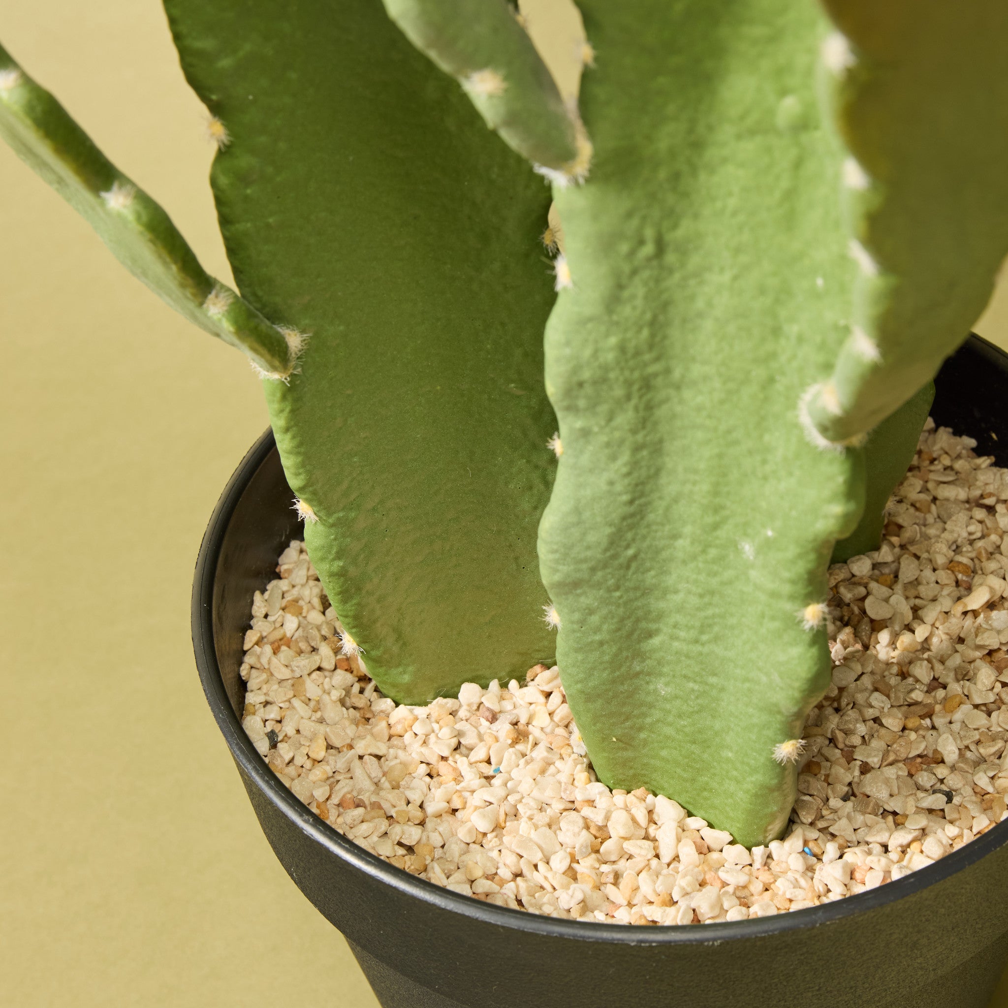 Faux Flowering Cactus - Garden Pot | 79cm