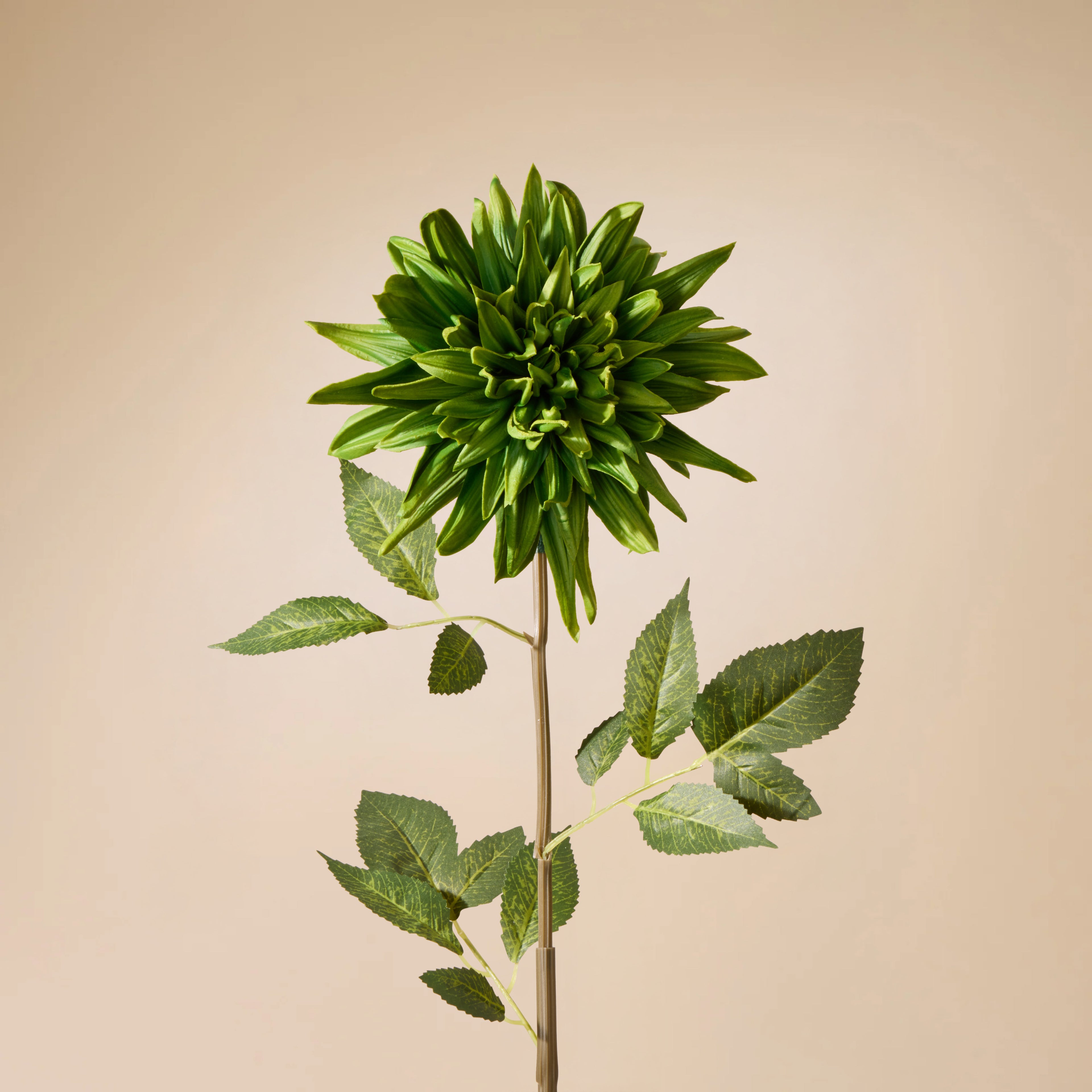 Faux Dahlia Stem | Green - 88cm