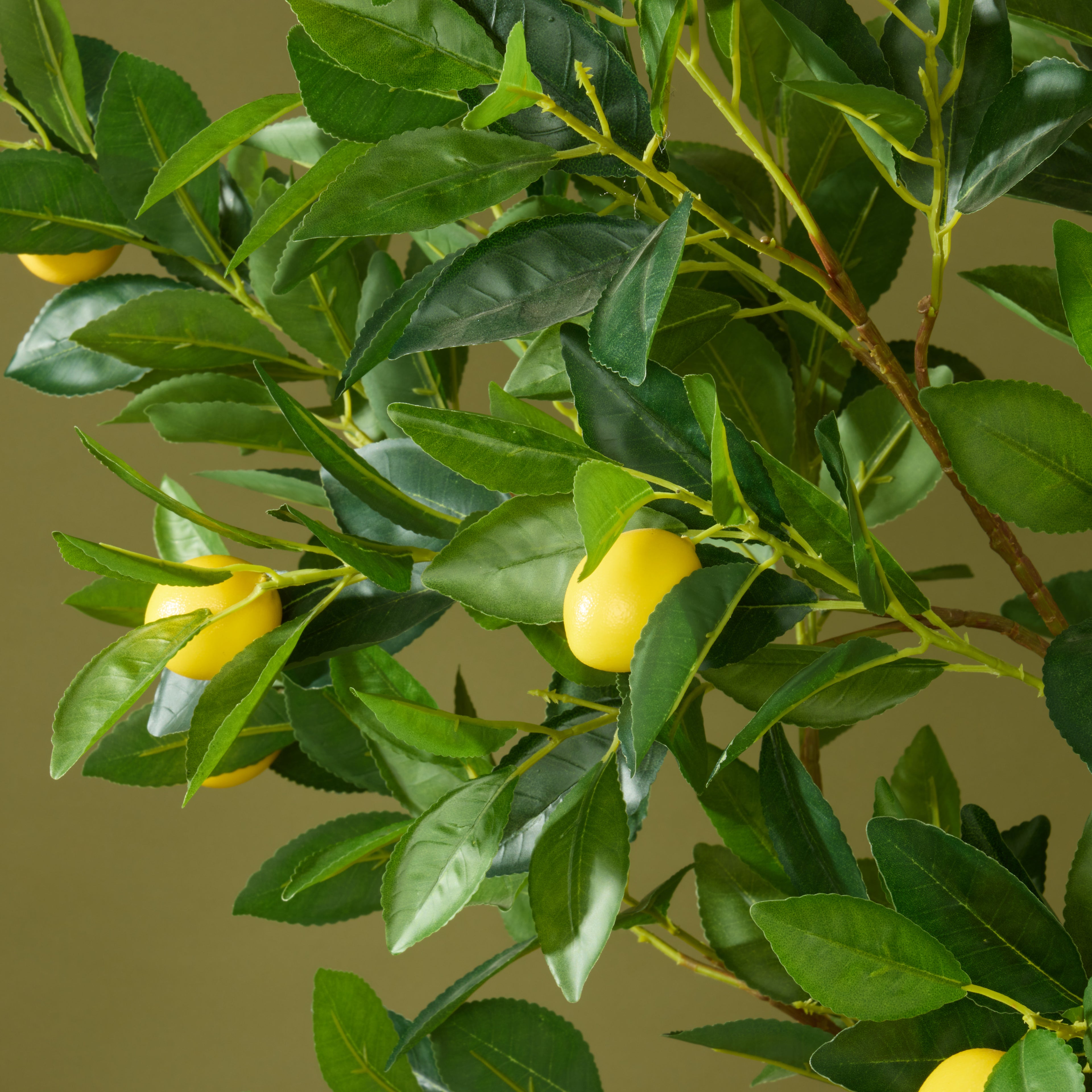 Faux Lemon Tree - White Pot | 160cm