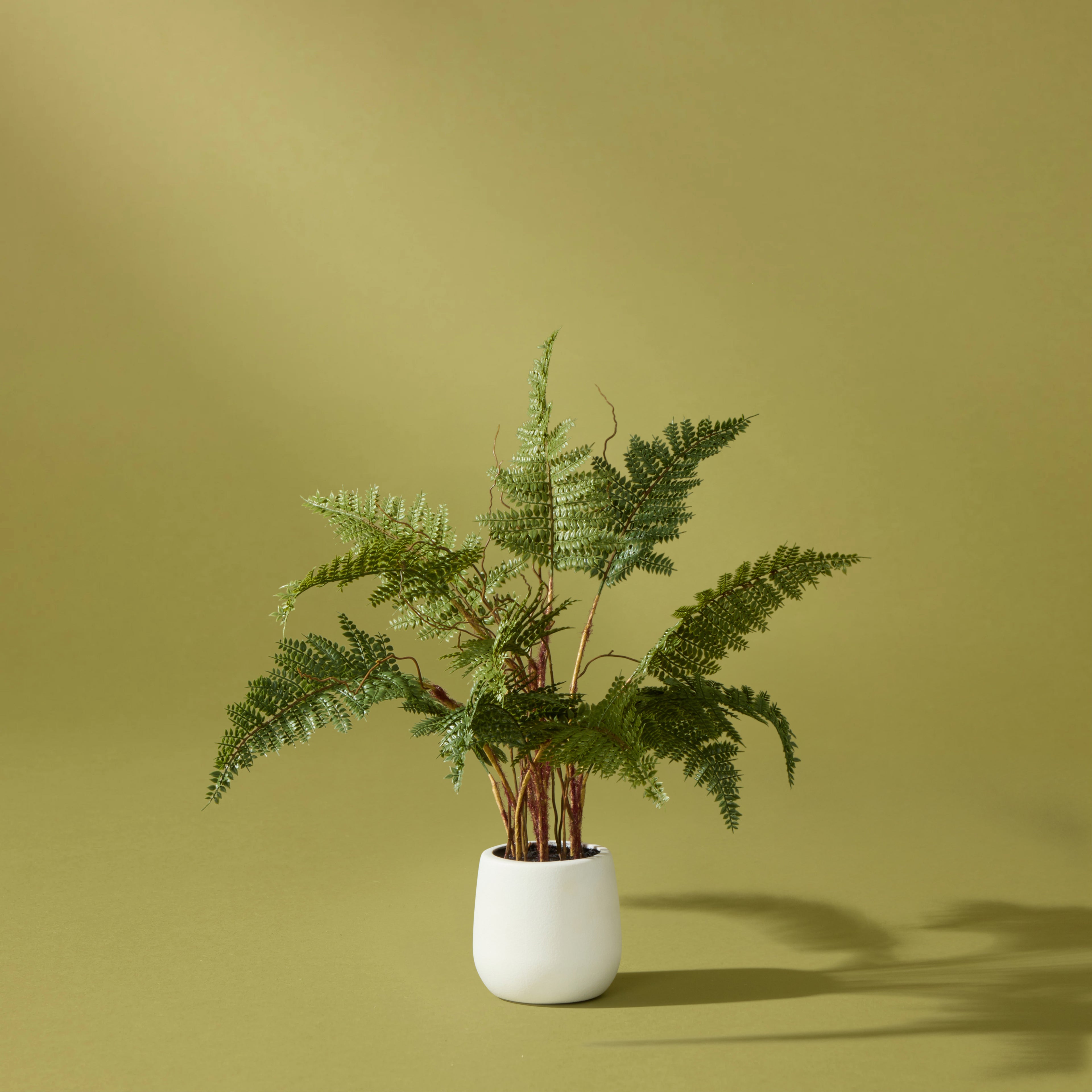 Faux Mountain Wood Fern Pot | White - 56cm