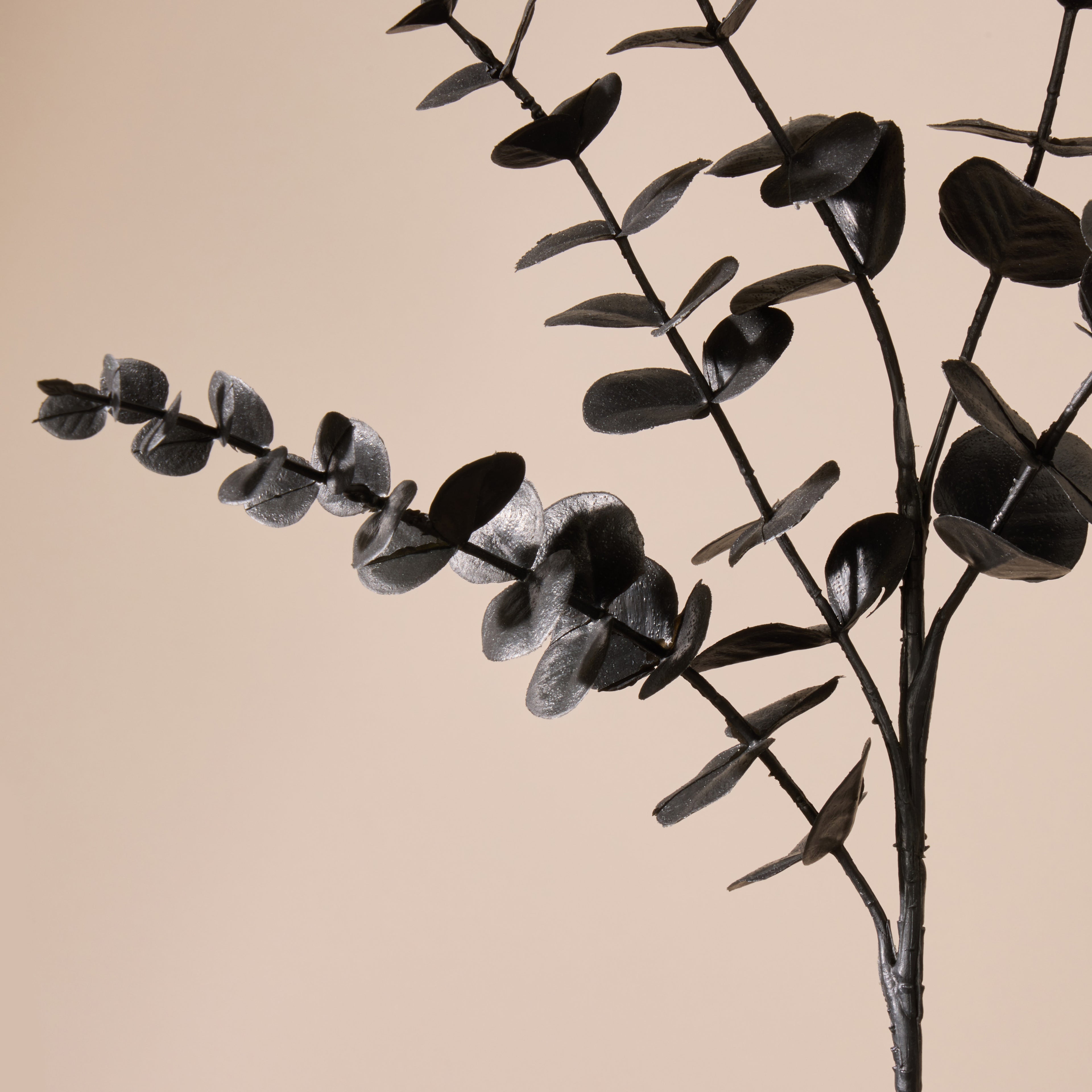 Faux Eucalyptus Spray | Black - 74cm
