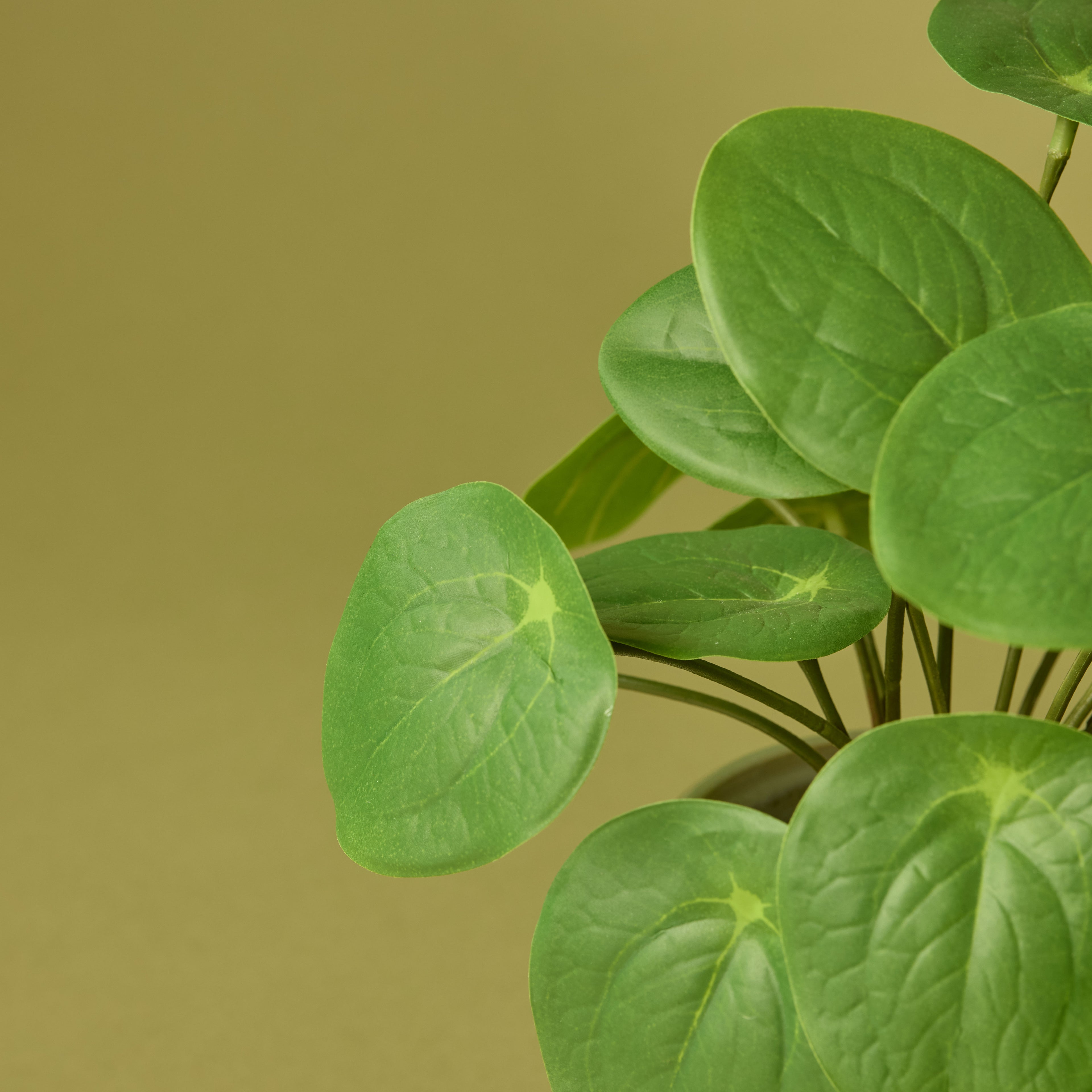 Faux Pilea Plant - Gianna Pot | Green - 24cm