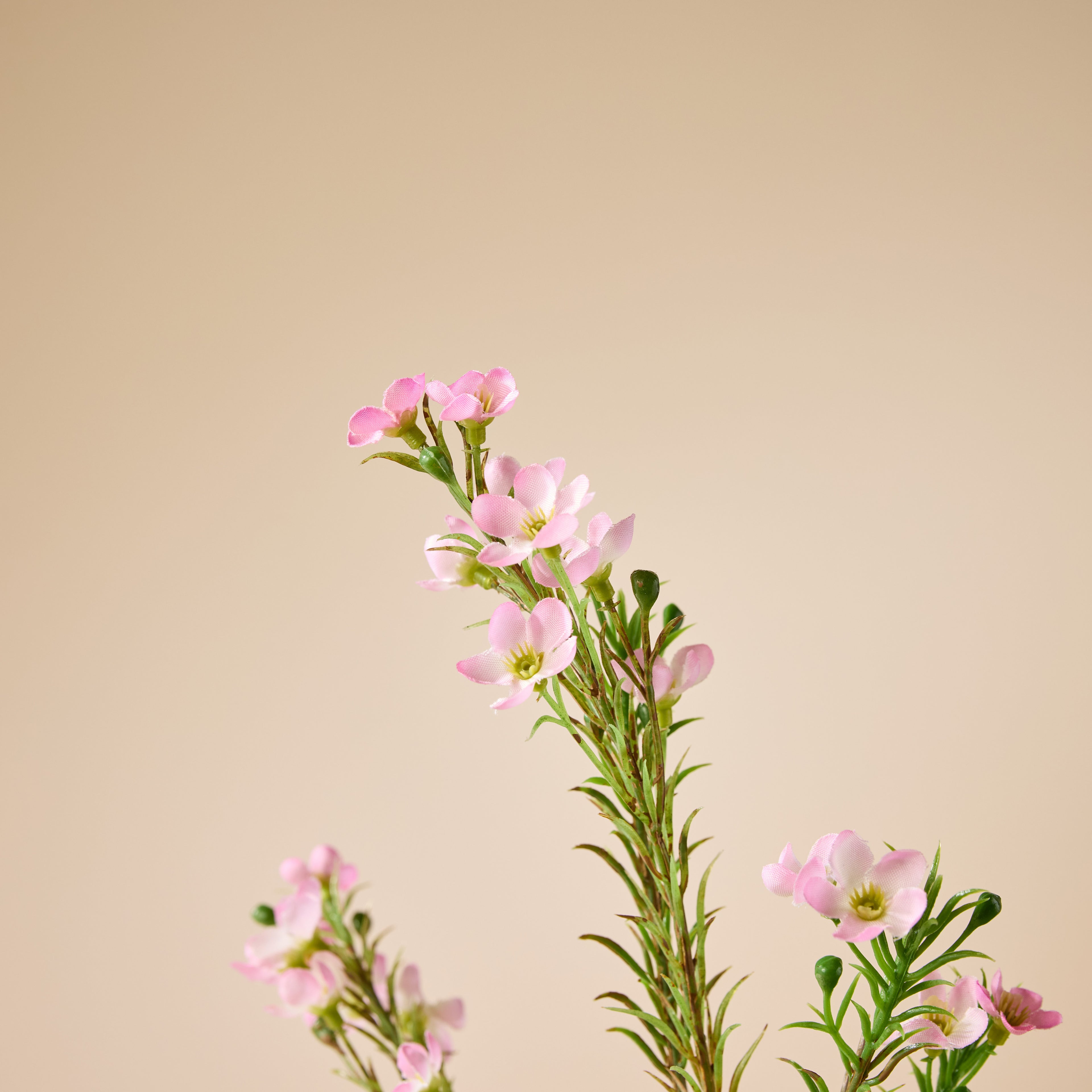 Faux Wax Flower Spray | Pink - 65cm