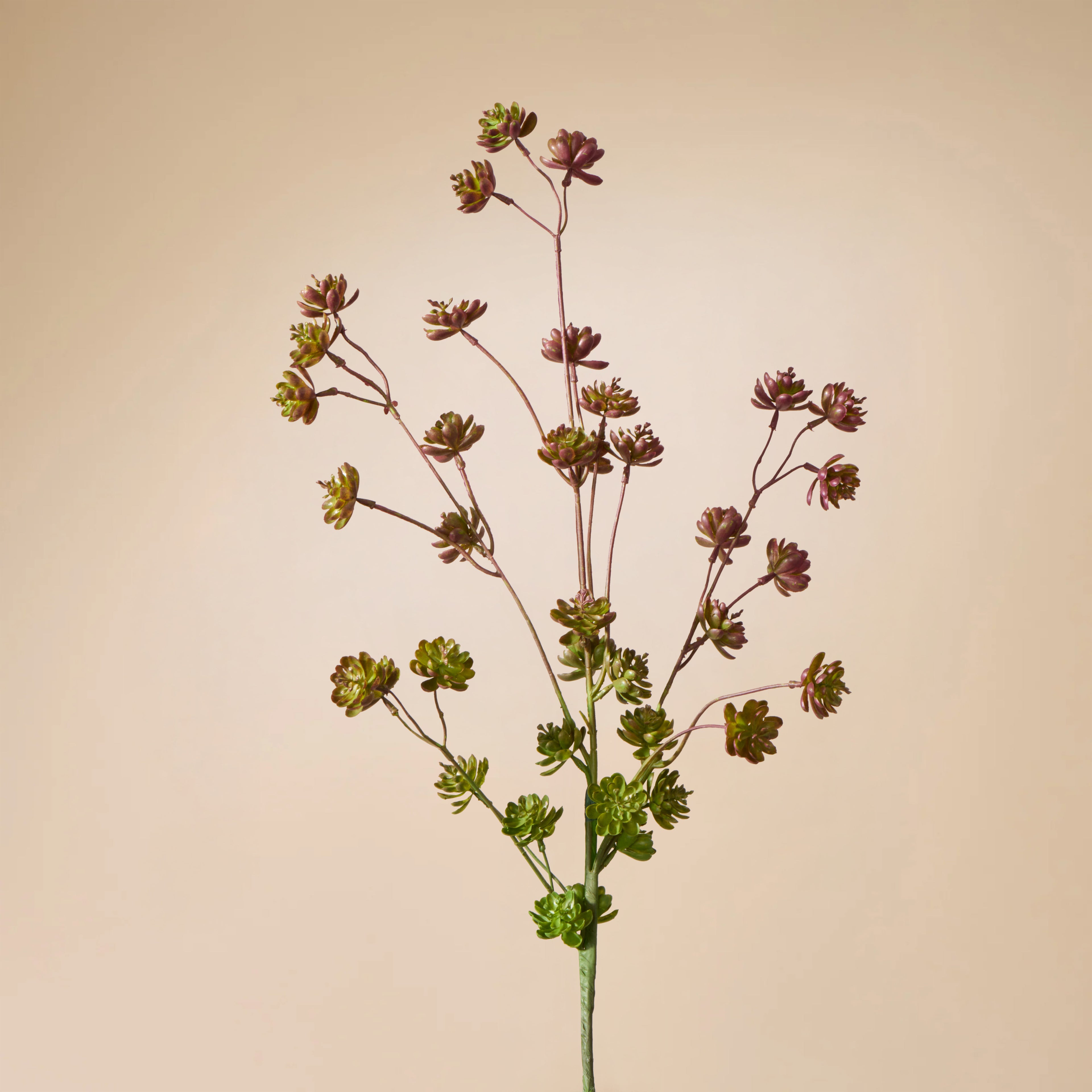 Faux Succulent Spray | Burgundy - 97cm