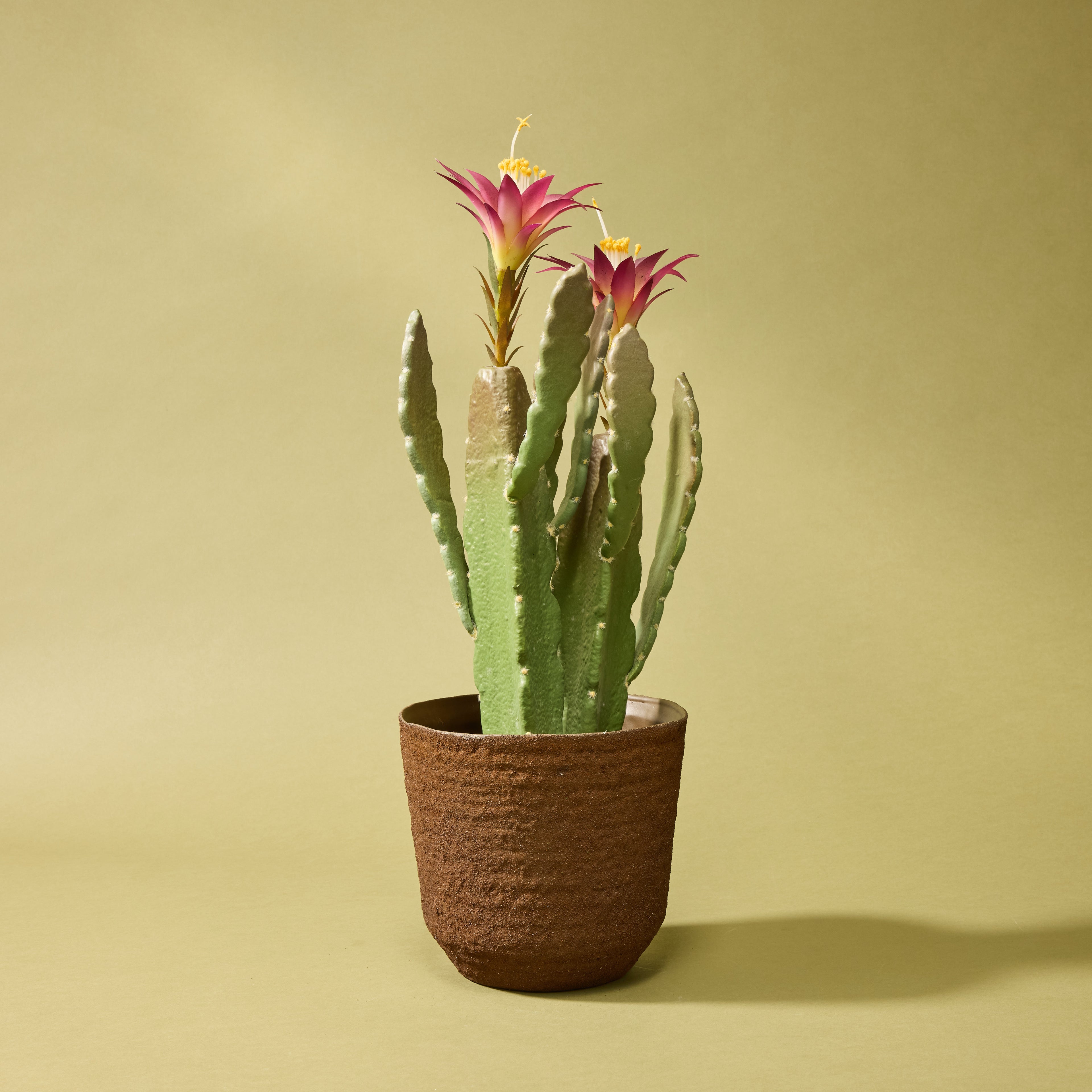 Palermo Planter | Rust - 15cm