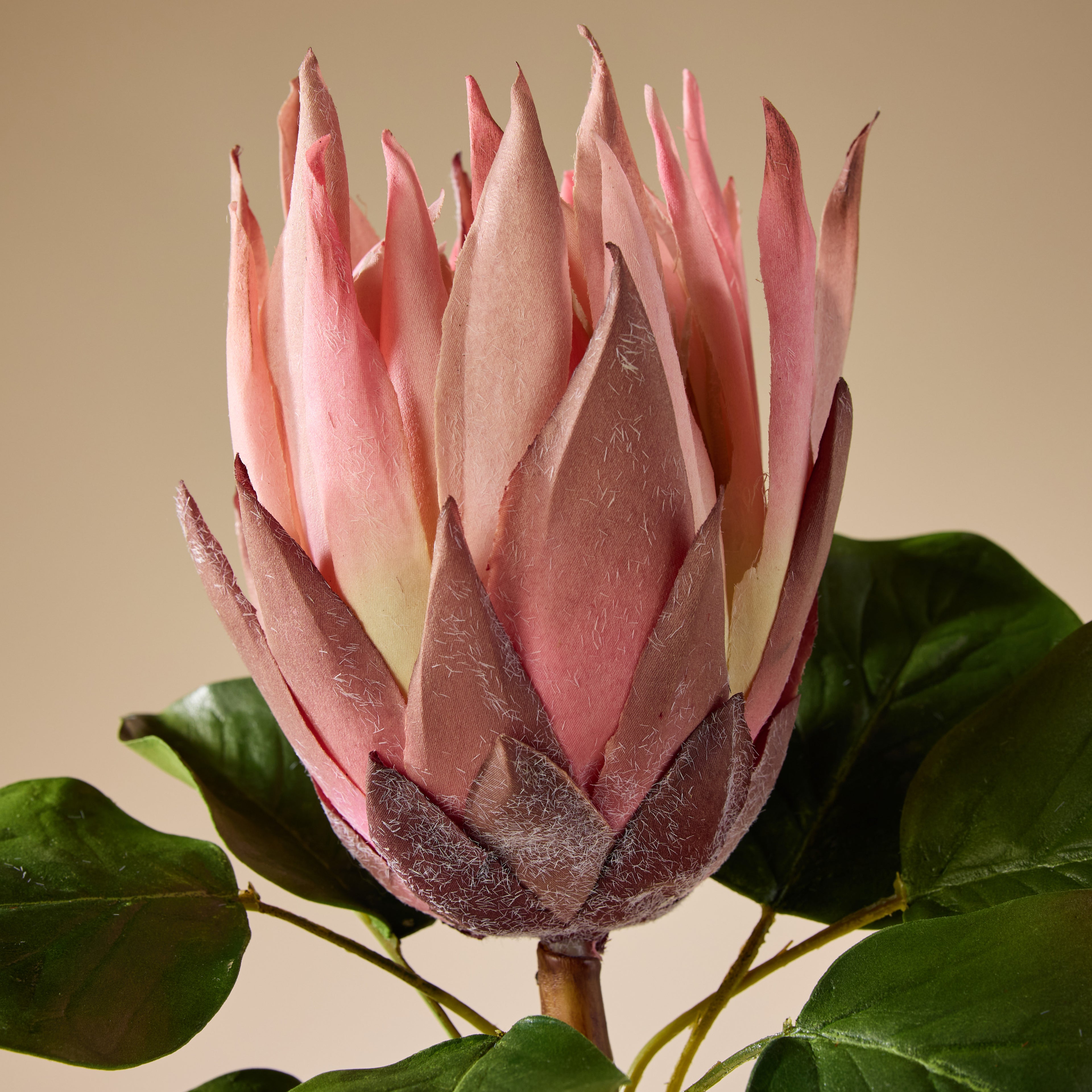 Faux King Protea Stem | Pink - 60cm
