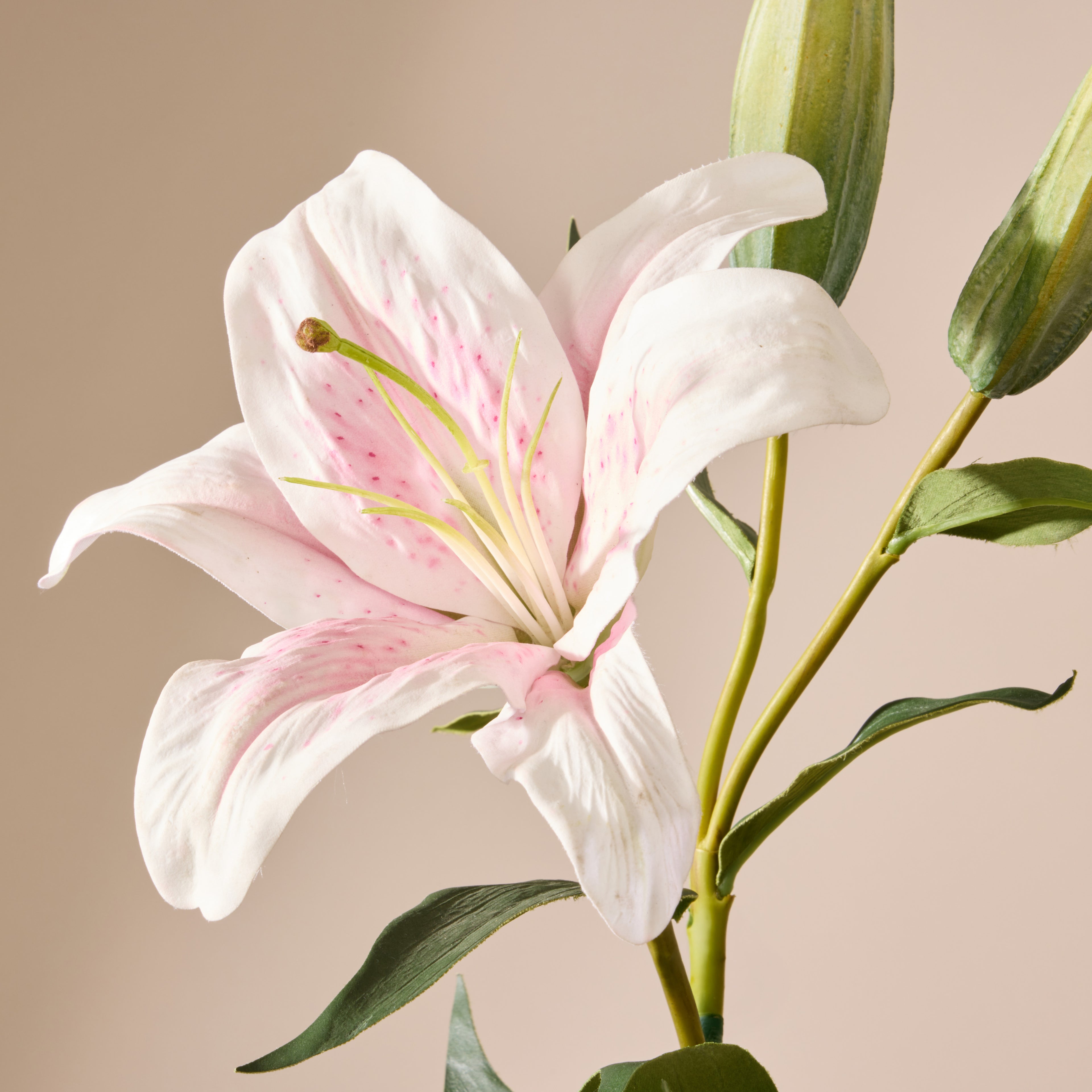 Faux Casablanca Lily | Pink - 80cm
