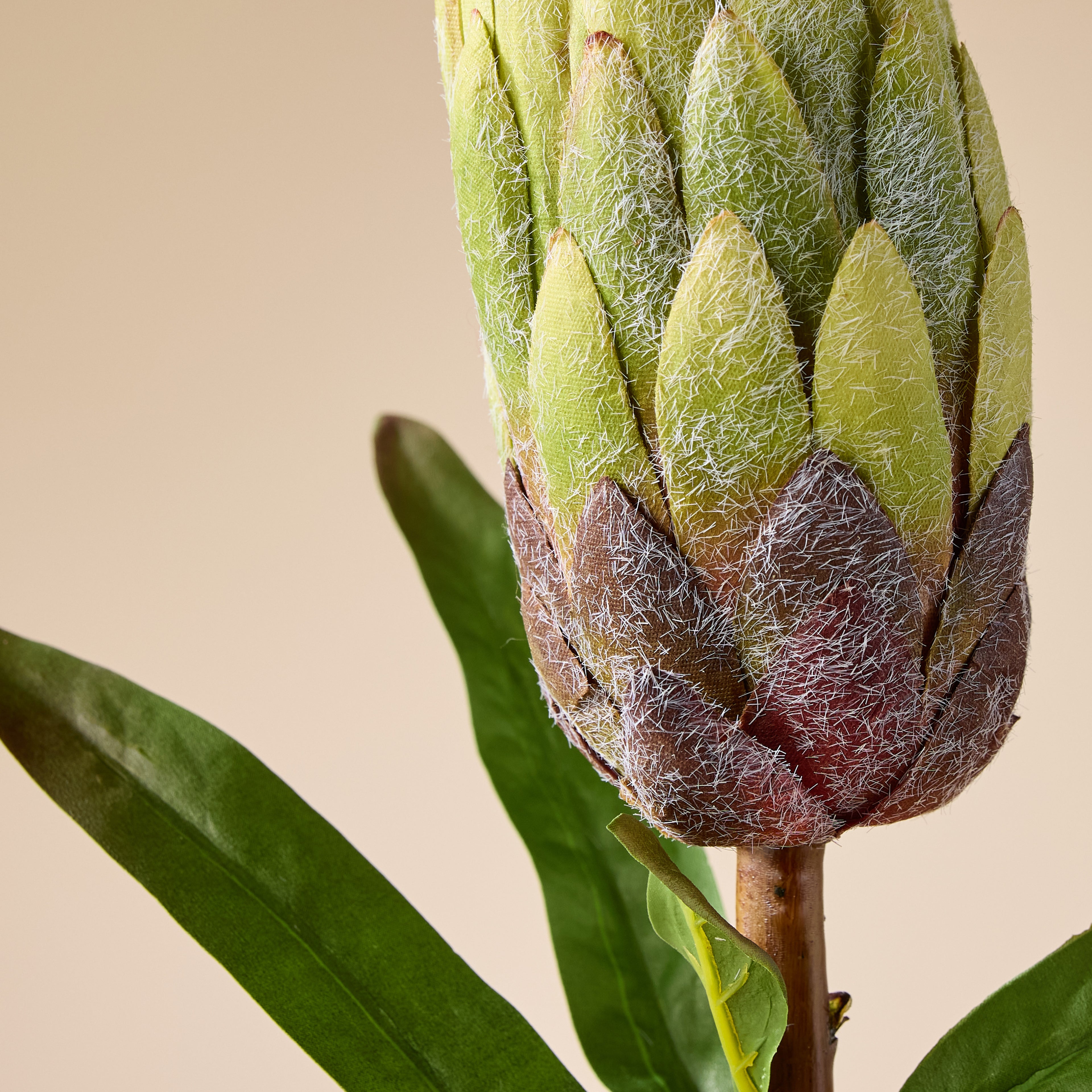 Faux Flocked Protea Stem | Green - 61cm