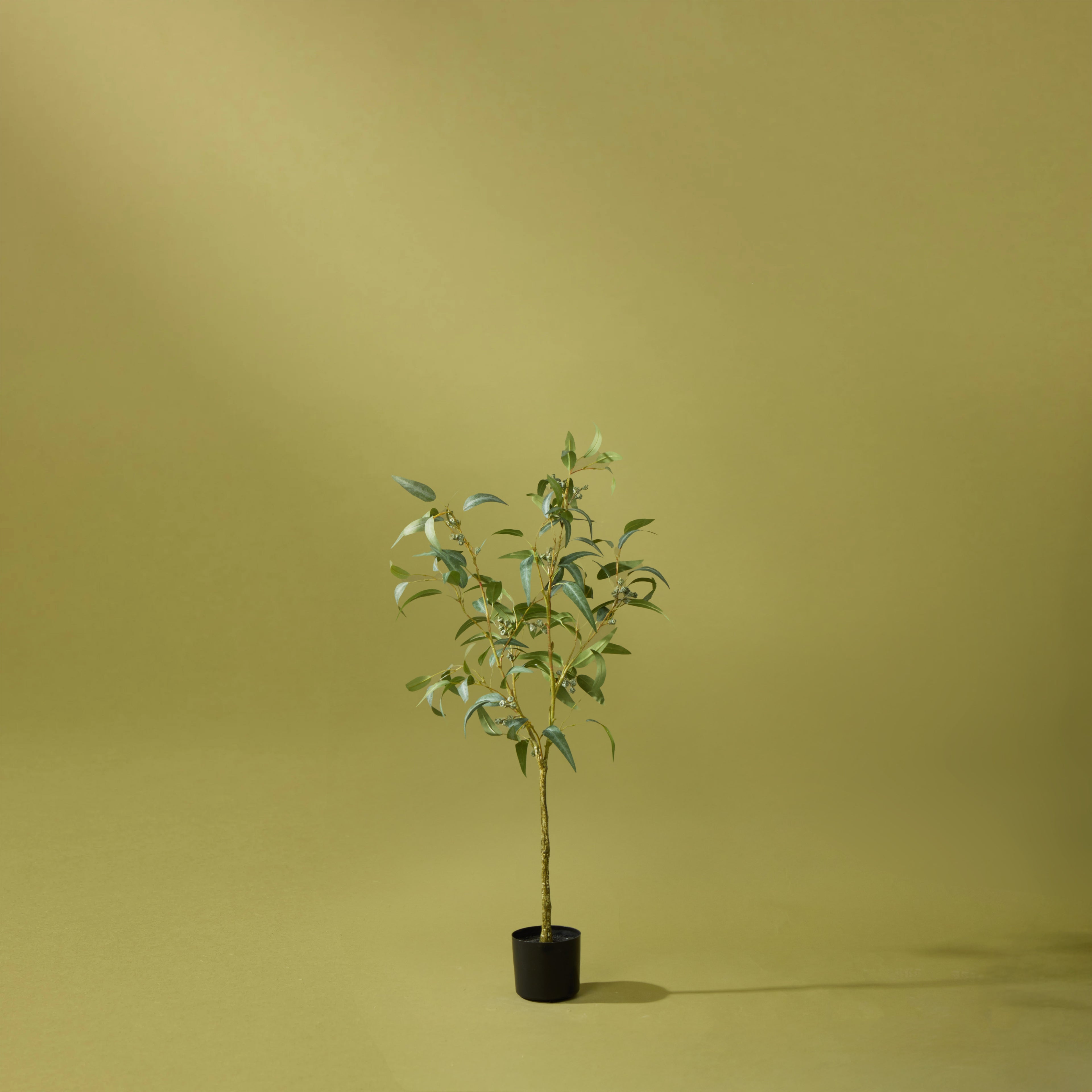Faux Eucalyptus Gumnut Tree - Garden Pot | 120cm