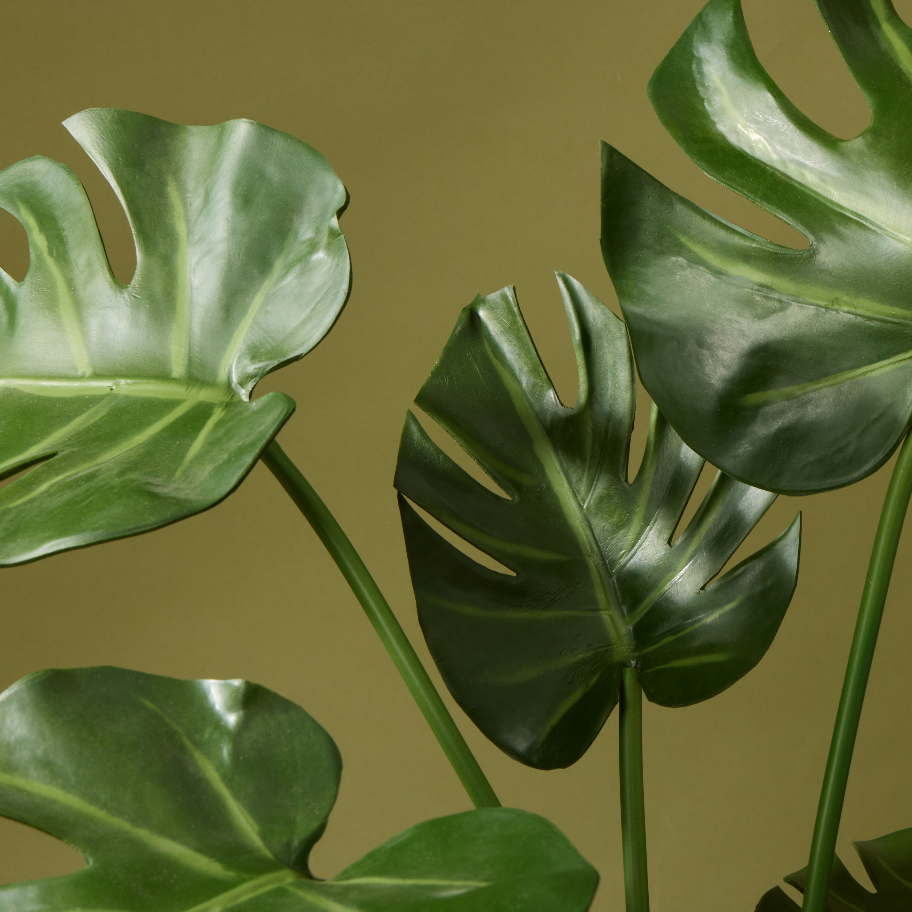 Faux Monstera Plant - Garden Pot | 65cm