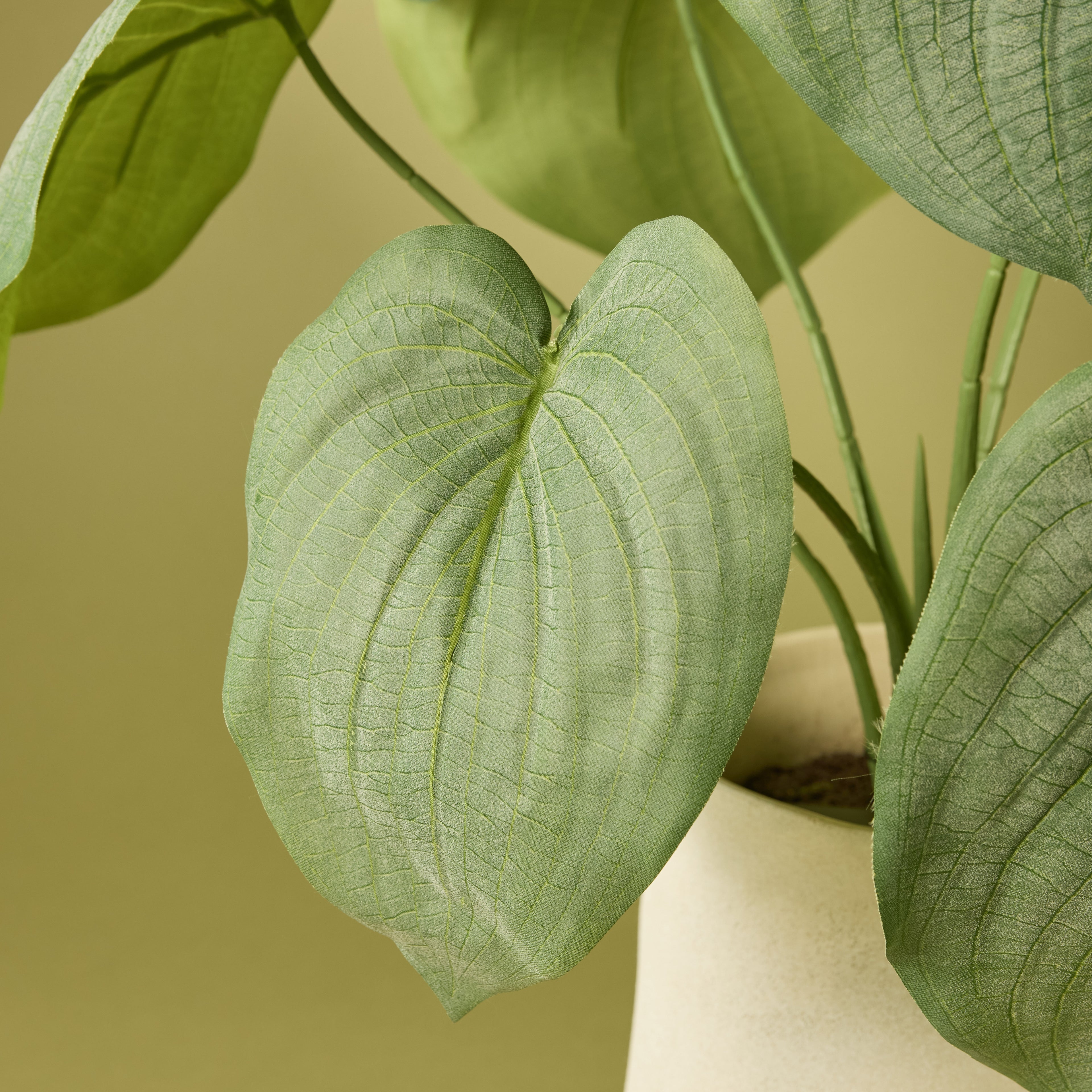 Faux Hosta Plant - Maliah Pot | Cream - 57cm