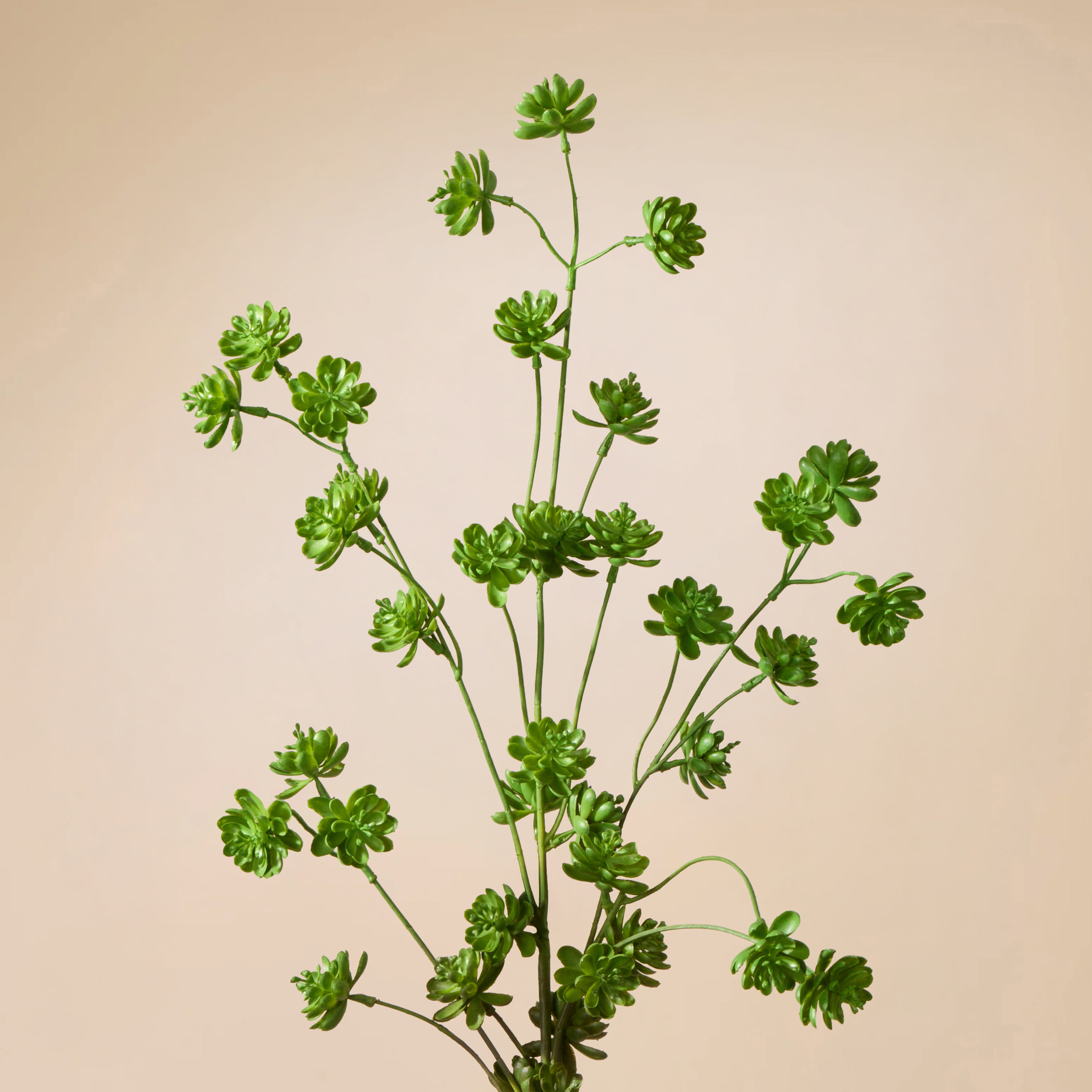 Faux Succulent Spray | Green - 97cm