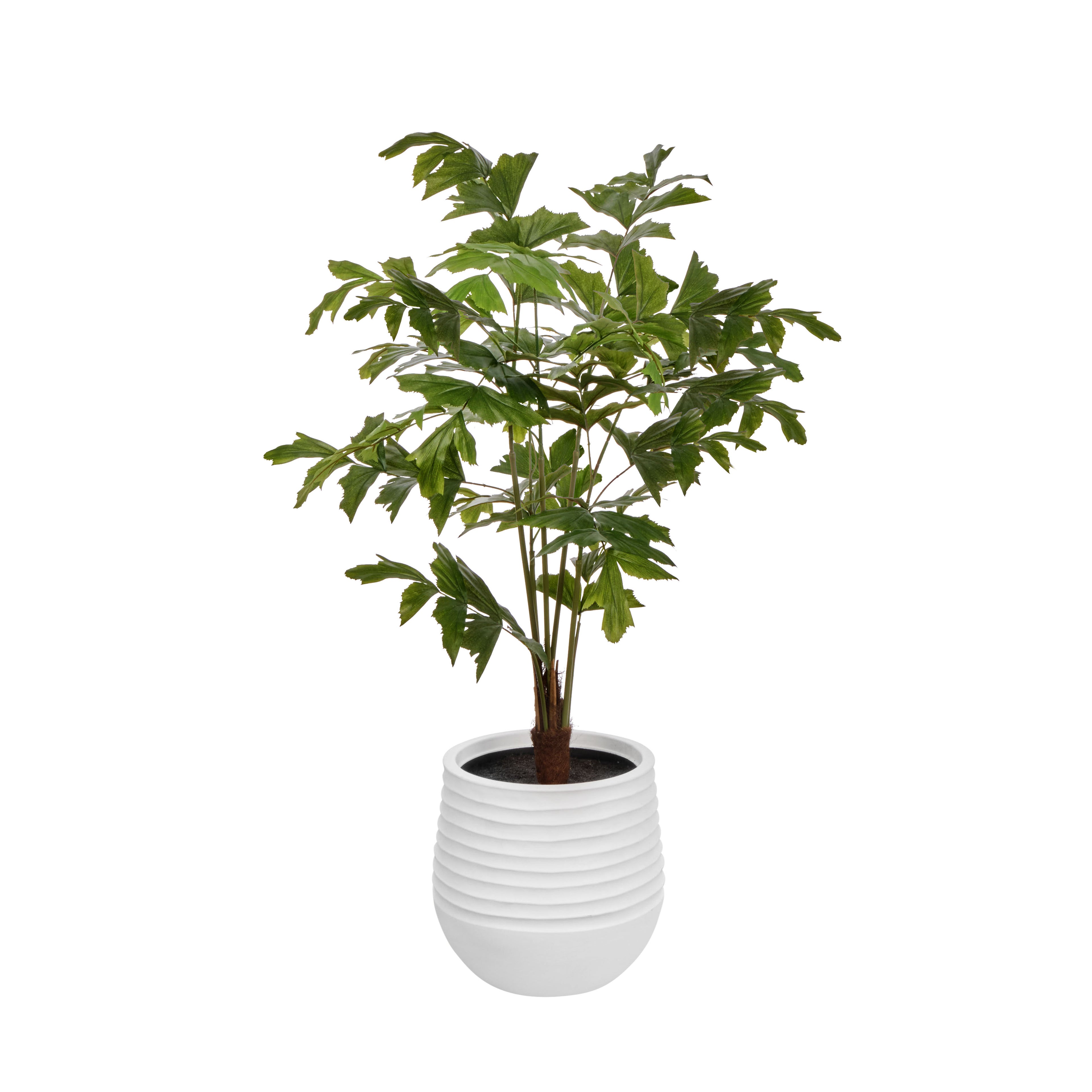Faux Caryota Palm Tree - Vienna PLanter | Green - 158cm