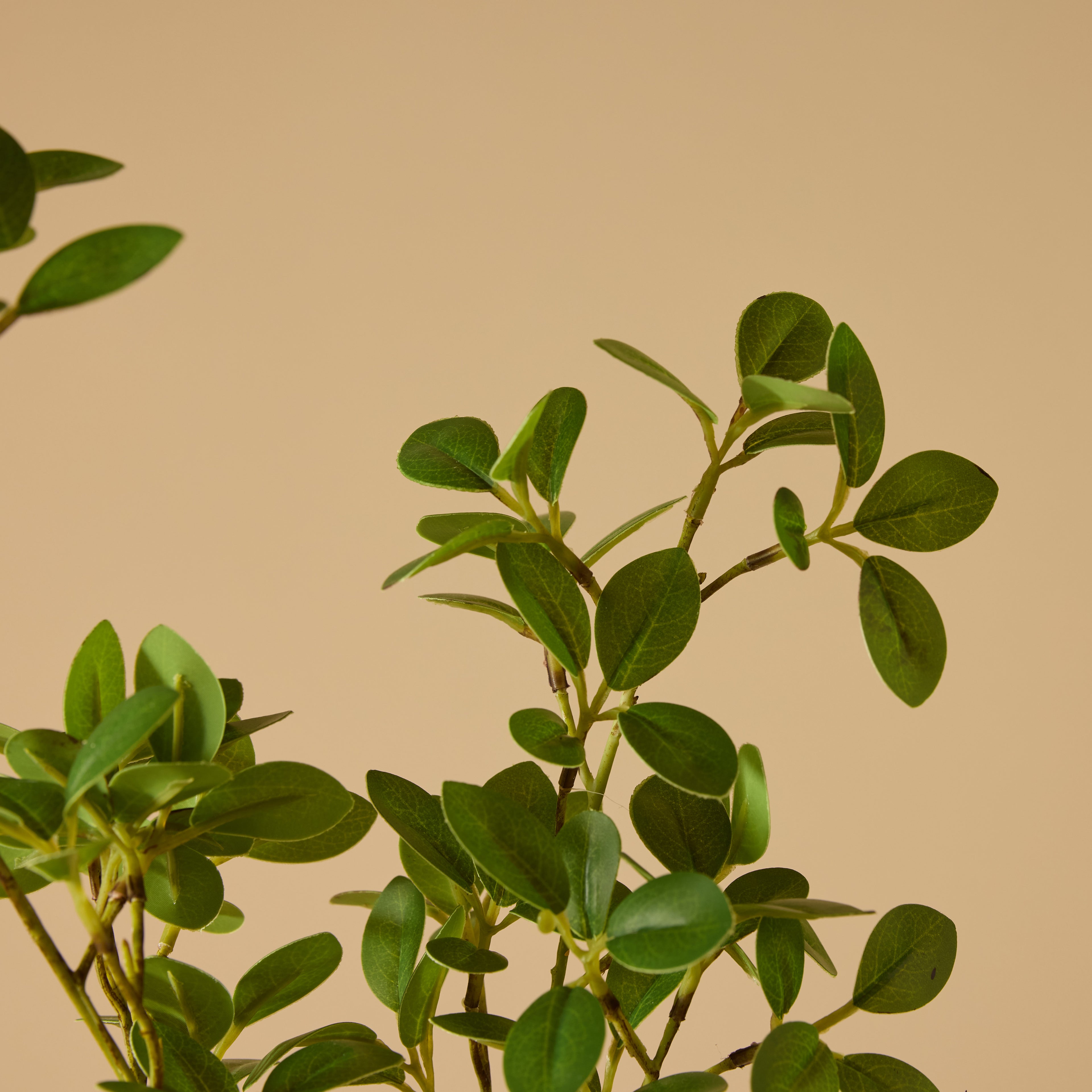 Faux Hydrangea Berry Arrangement - Maliah Pot | Green - 80cm