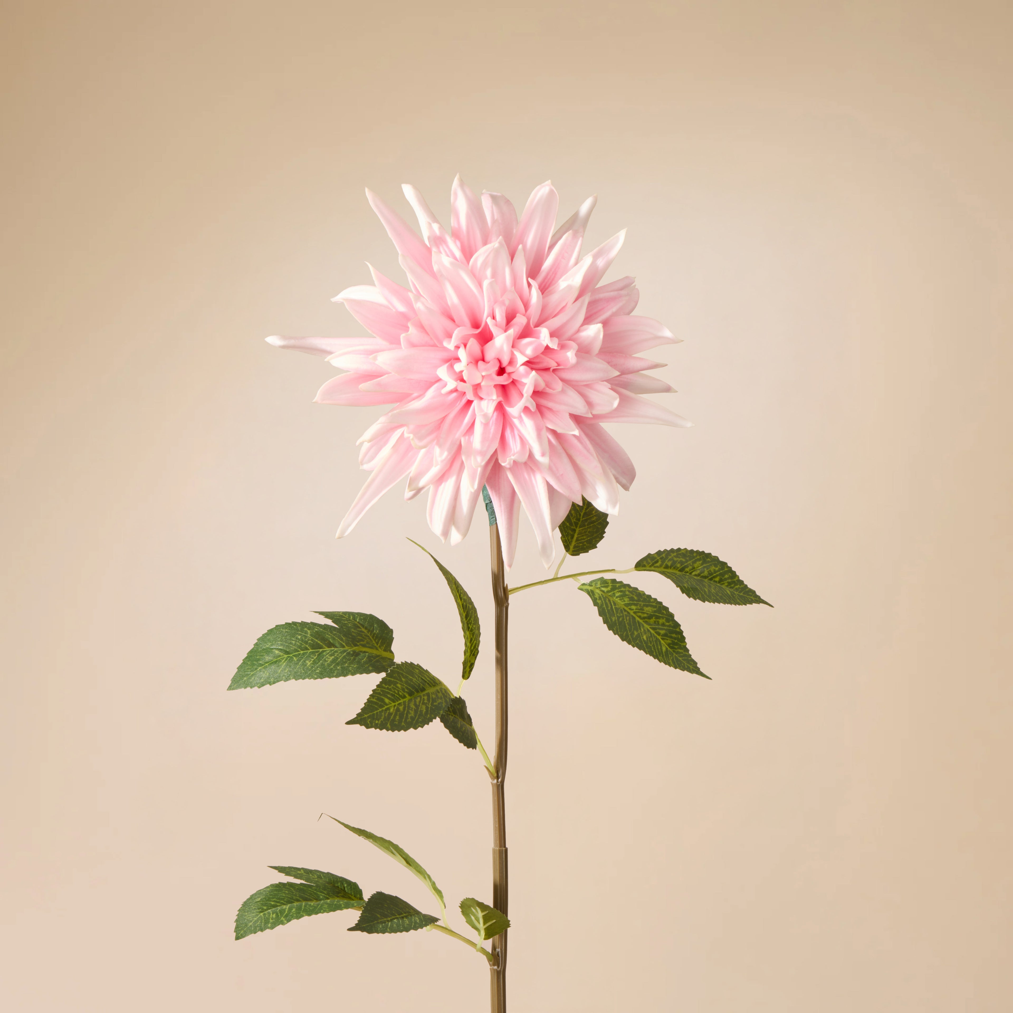 Faux Dahlia Stem | Pink - 88cm