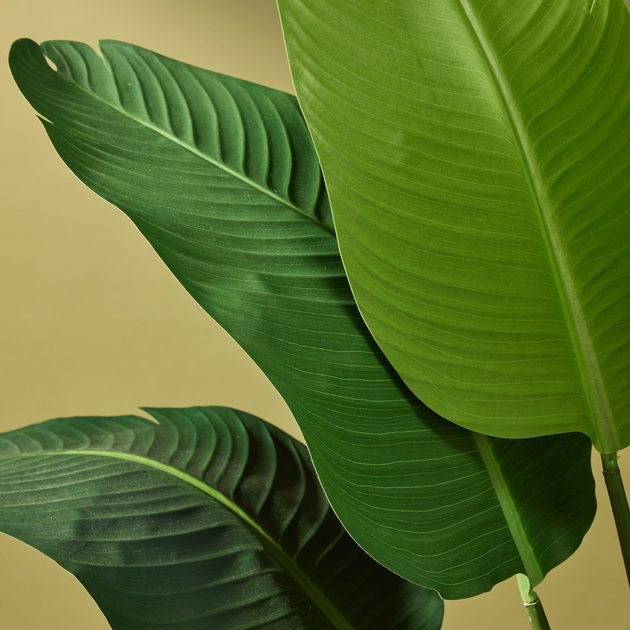 Faux Travellers Palm | 190cm