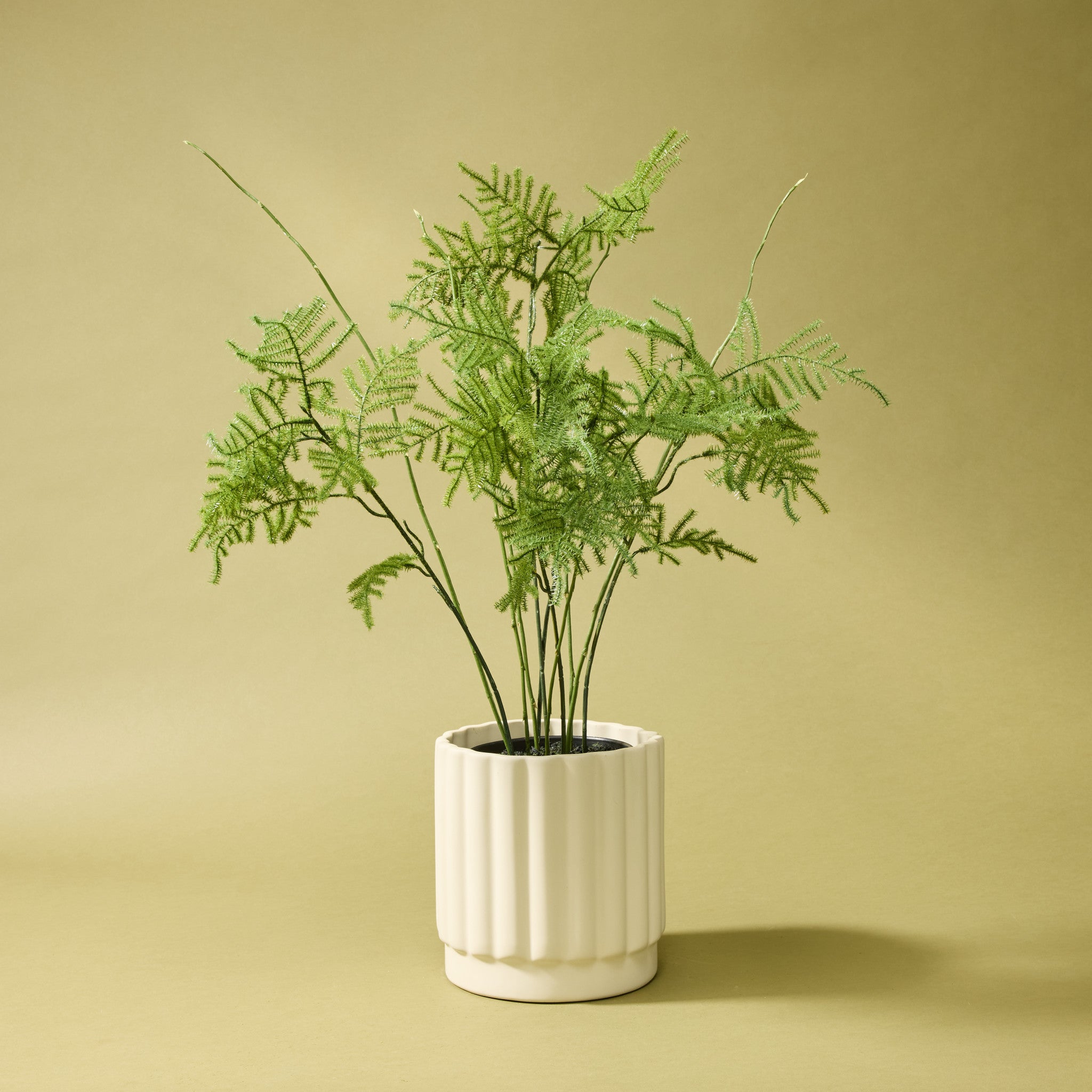 Faux Asparagus Fern Pot | 54cm