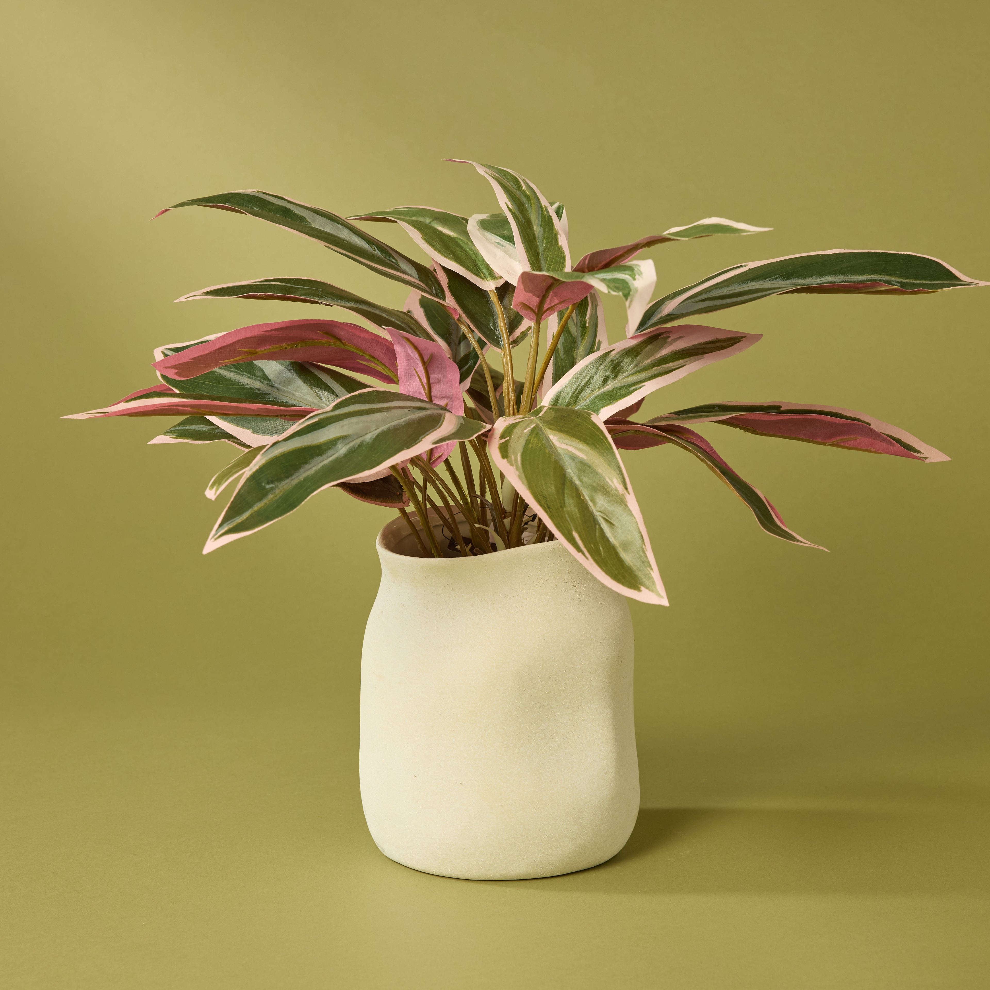 Faux Cordyline Plant - Maliah Pot | Cream - 39cm