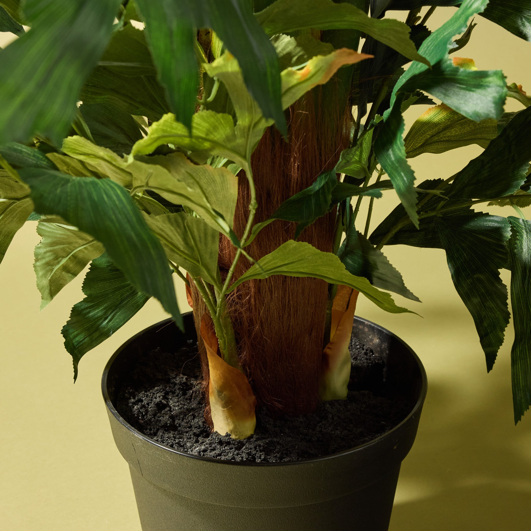 Faux Caryota Palm Tree - Garden Pot | 220cm