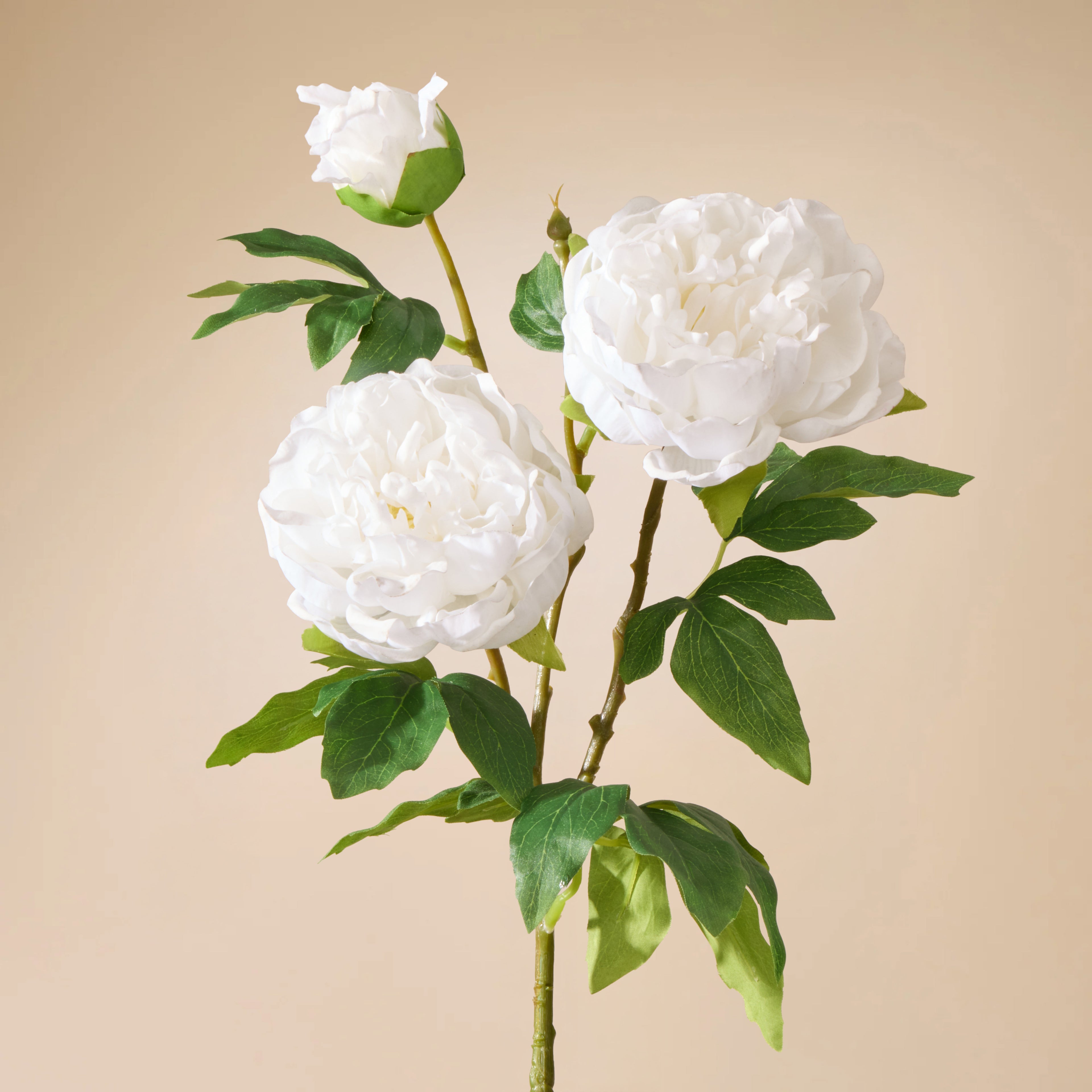 Faux Peony Spray Real Touch | White - 72cm