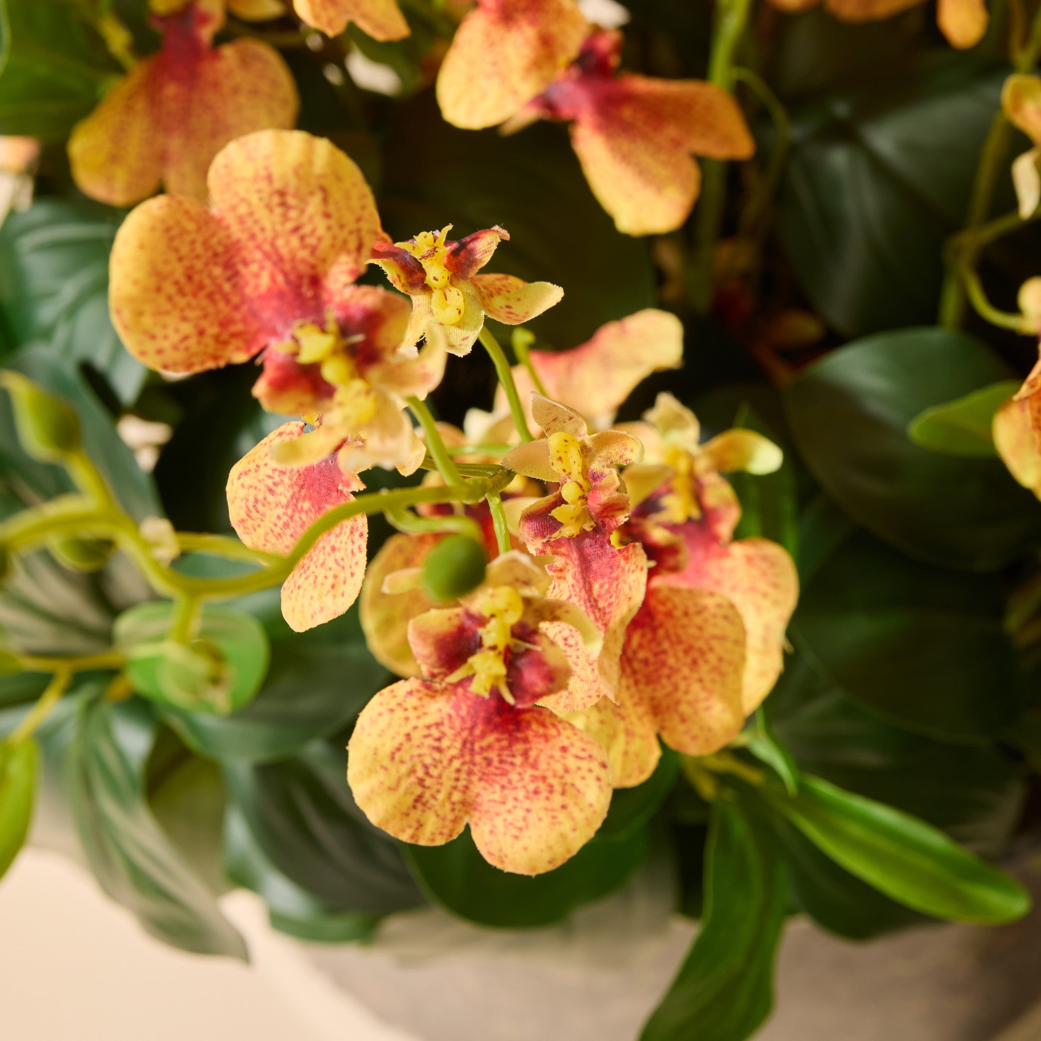 Faux Dancing Orchids - Madelyn Bowl | Orange - 67cm