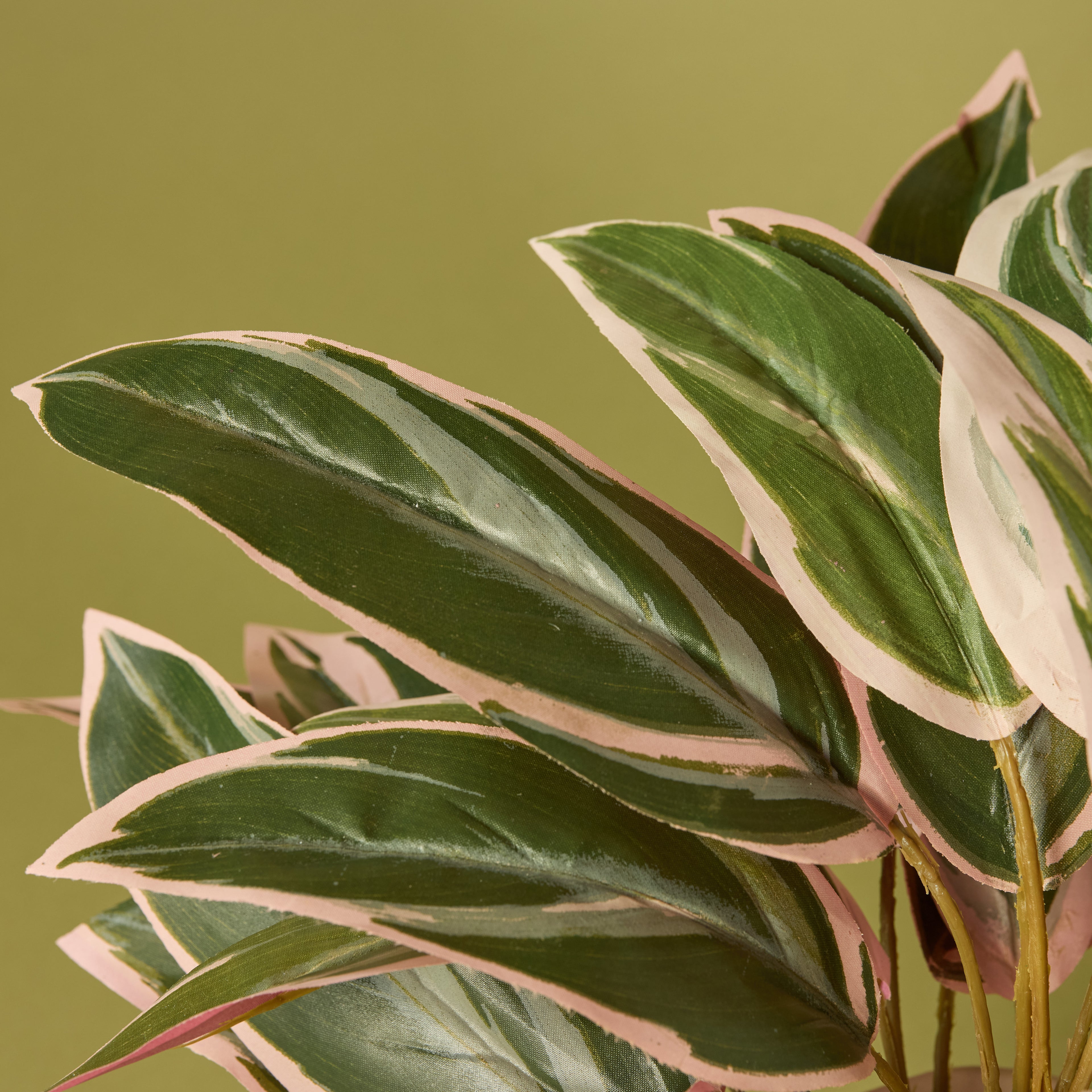 Faux Cordyline Plant - Maliah Pot | Cream - 39cm