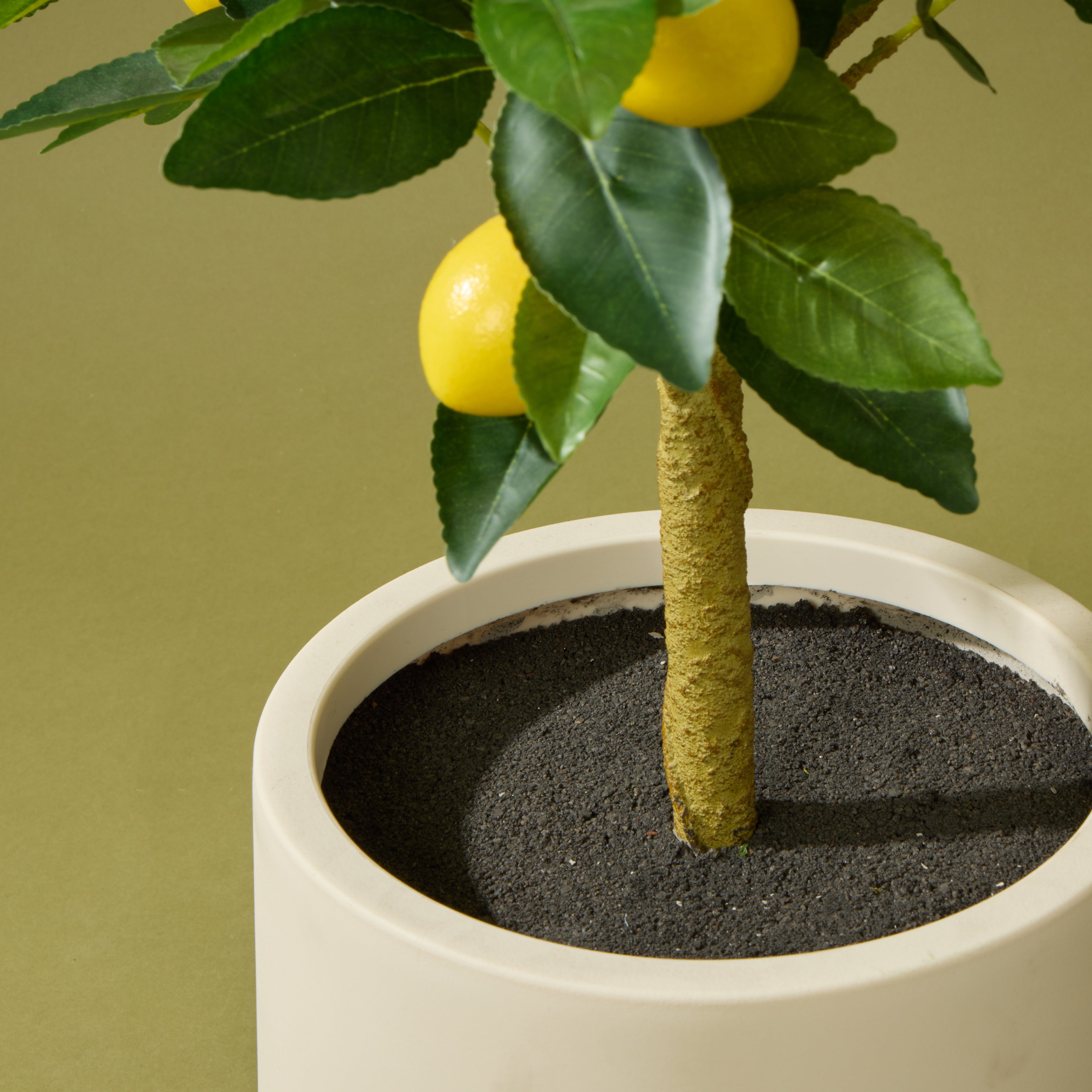 Faux Lemon Tree - White Pot | 76cm