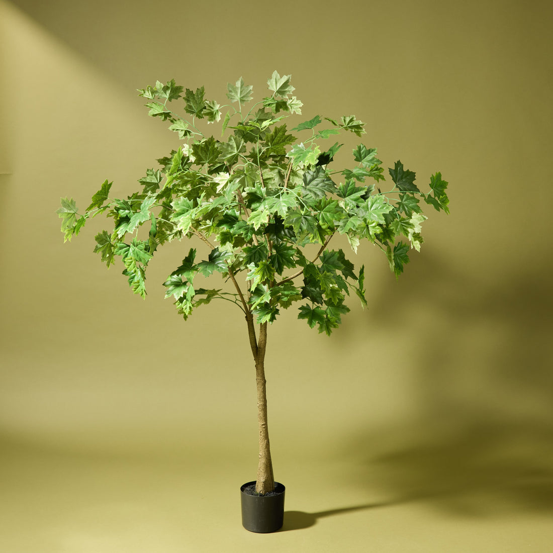 Faux Maple Tree - Garden Pot | 150cm