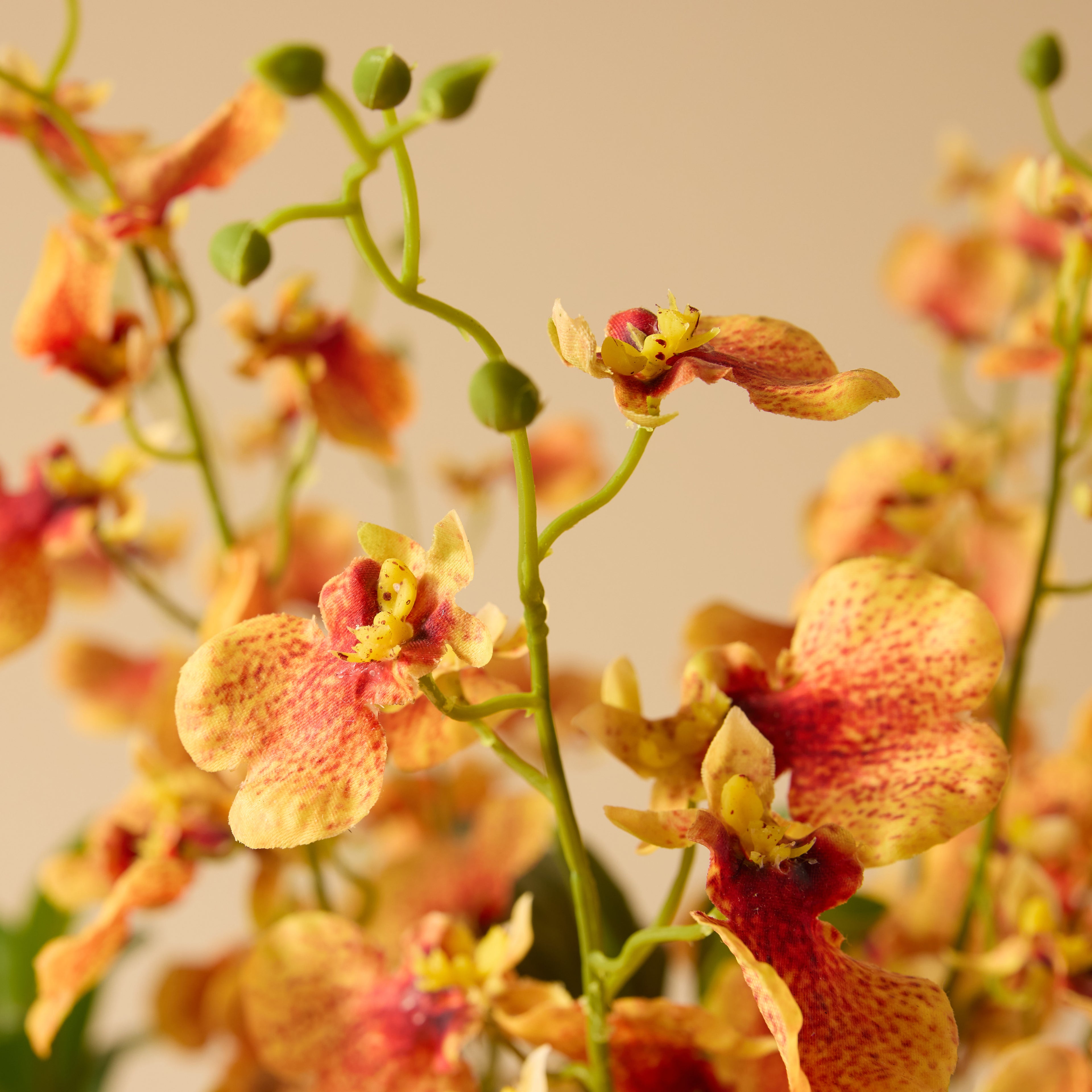 Faux Dancing Orchids - Madelyn Bowl | Orange - 58cm