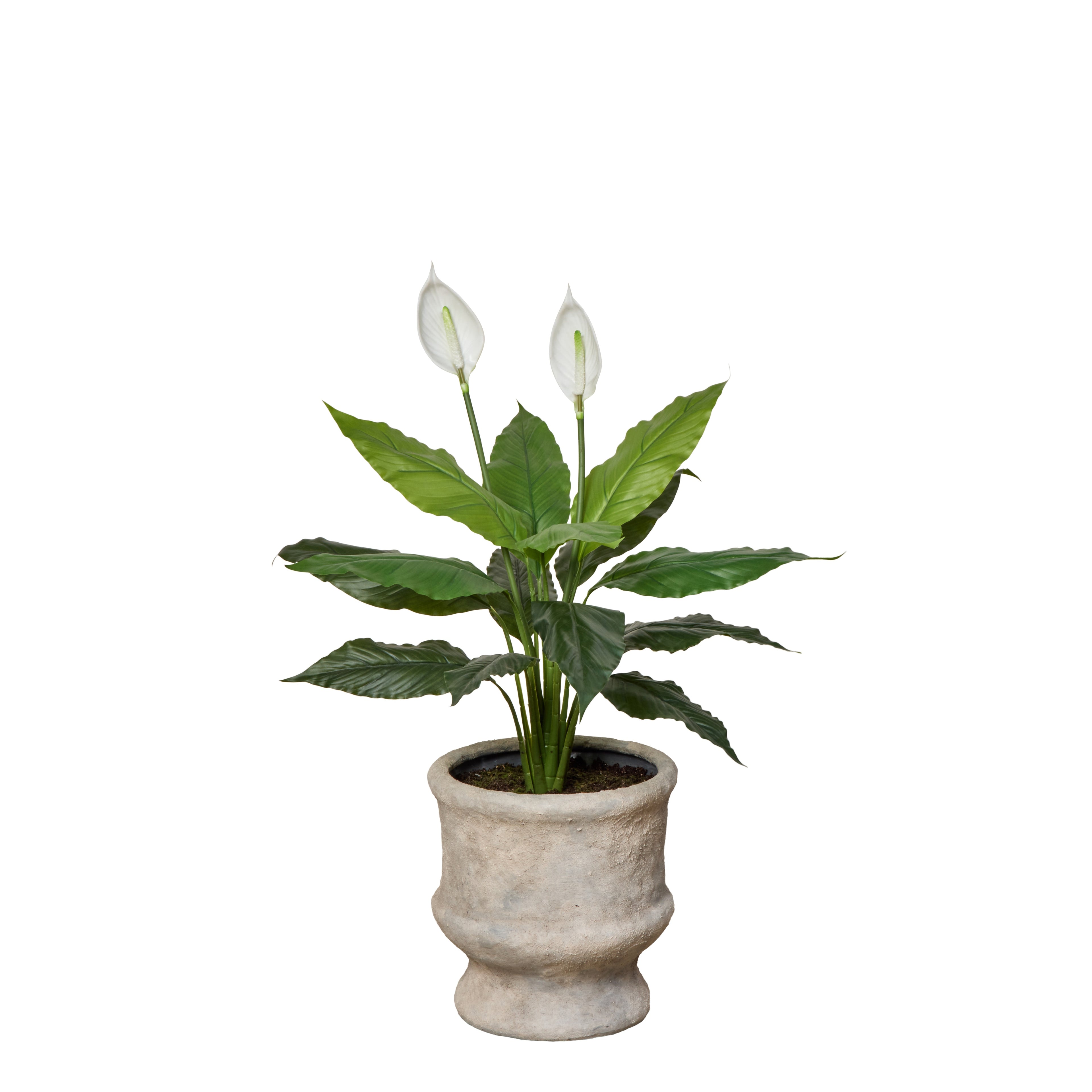 Faux Peace Lily - Lille Planter | Green - 91cm