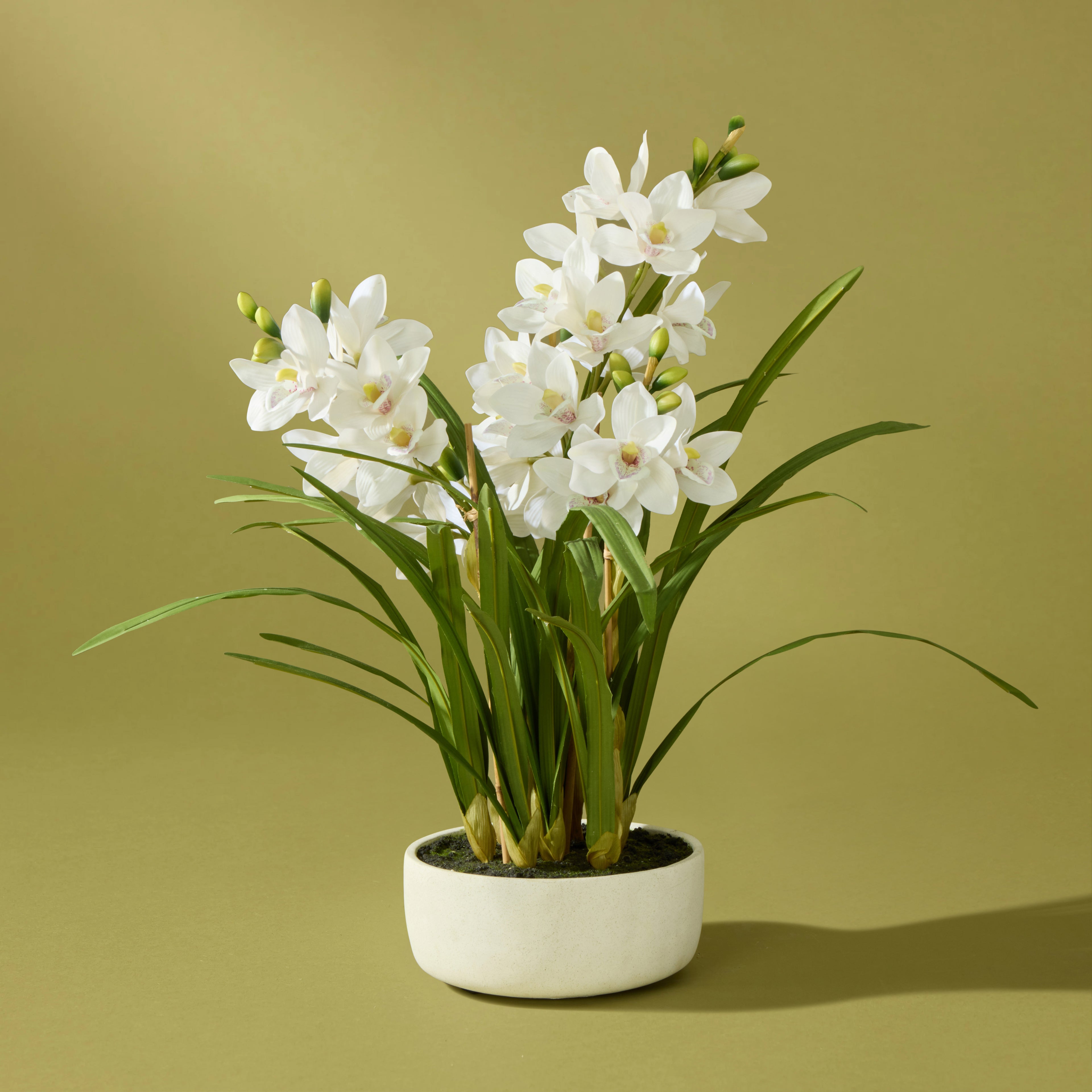 Faux Cymbidium Orchid Pot | White - 85cm