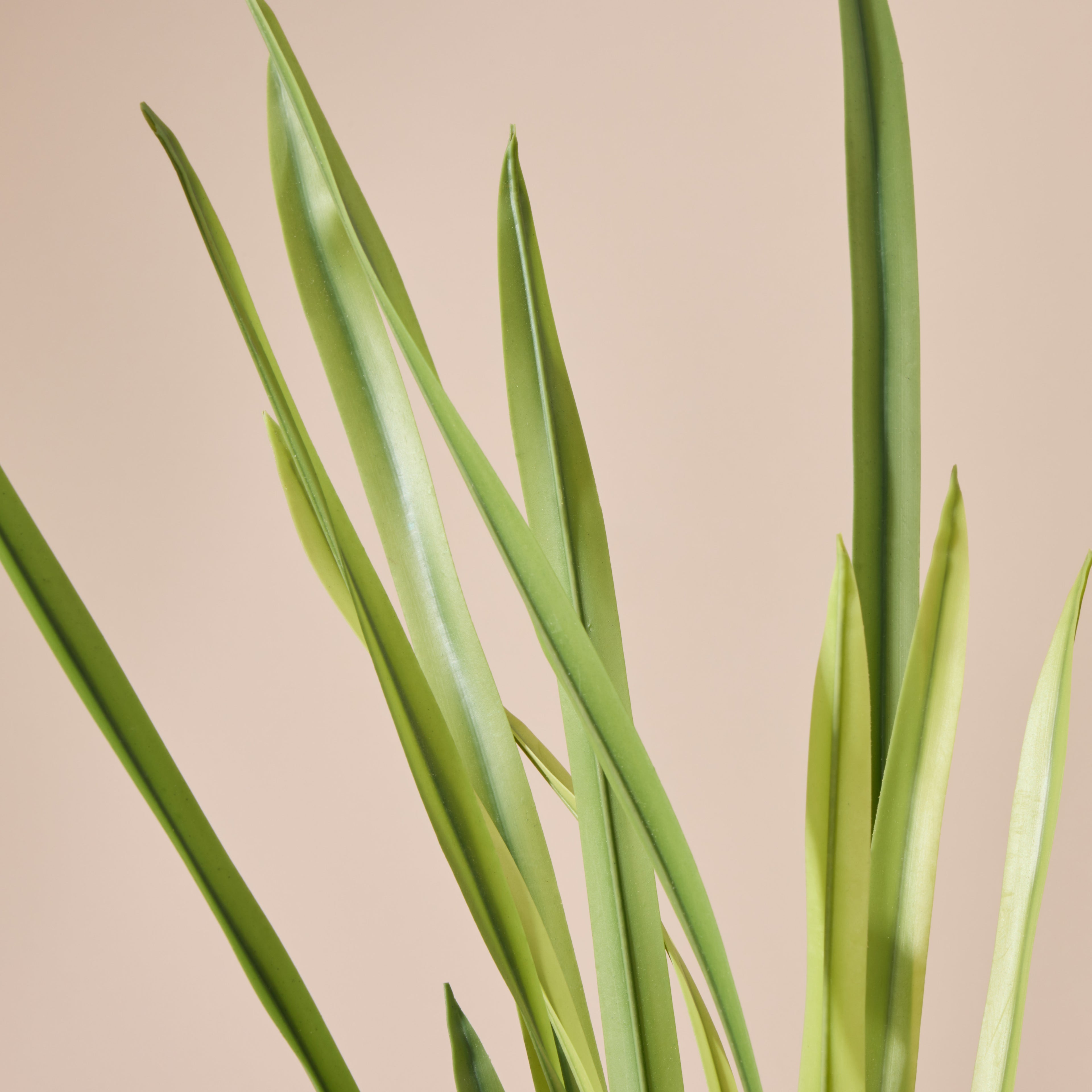 Faux Grass Plant | Green - 60cm