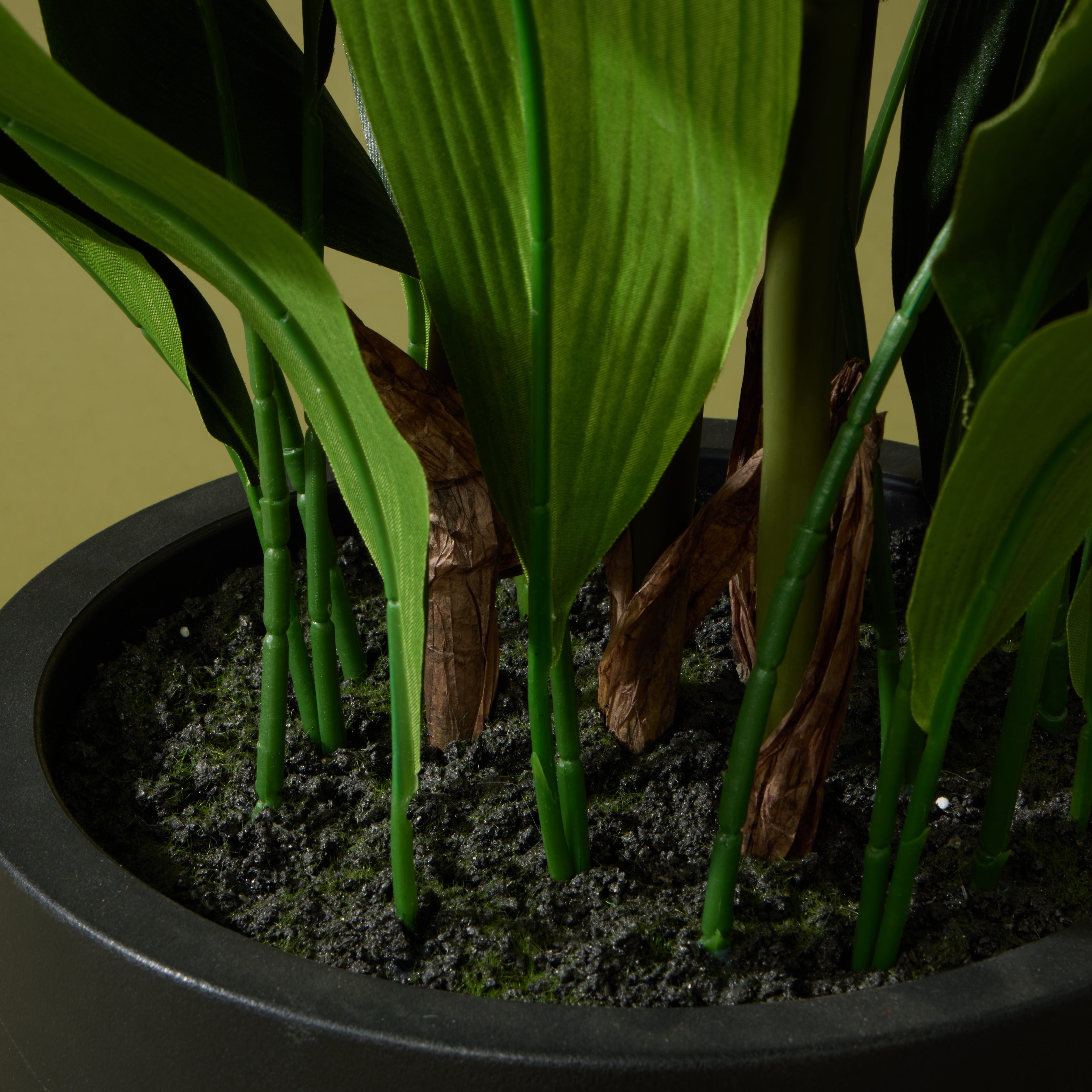 Faux Cast Iron Plant UV Treated | 120cm