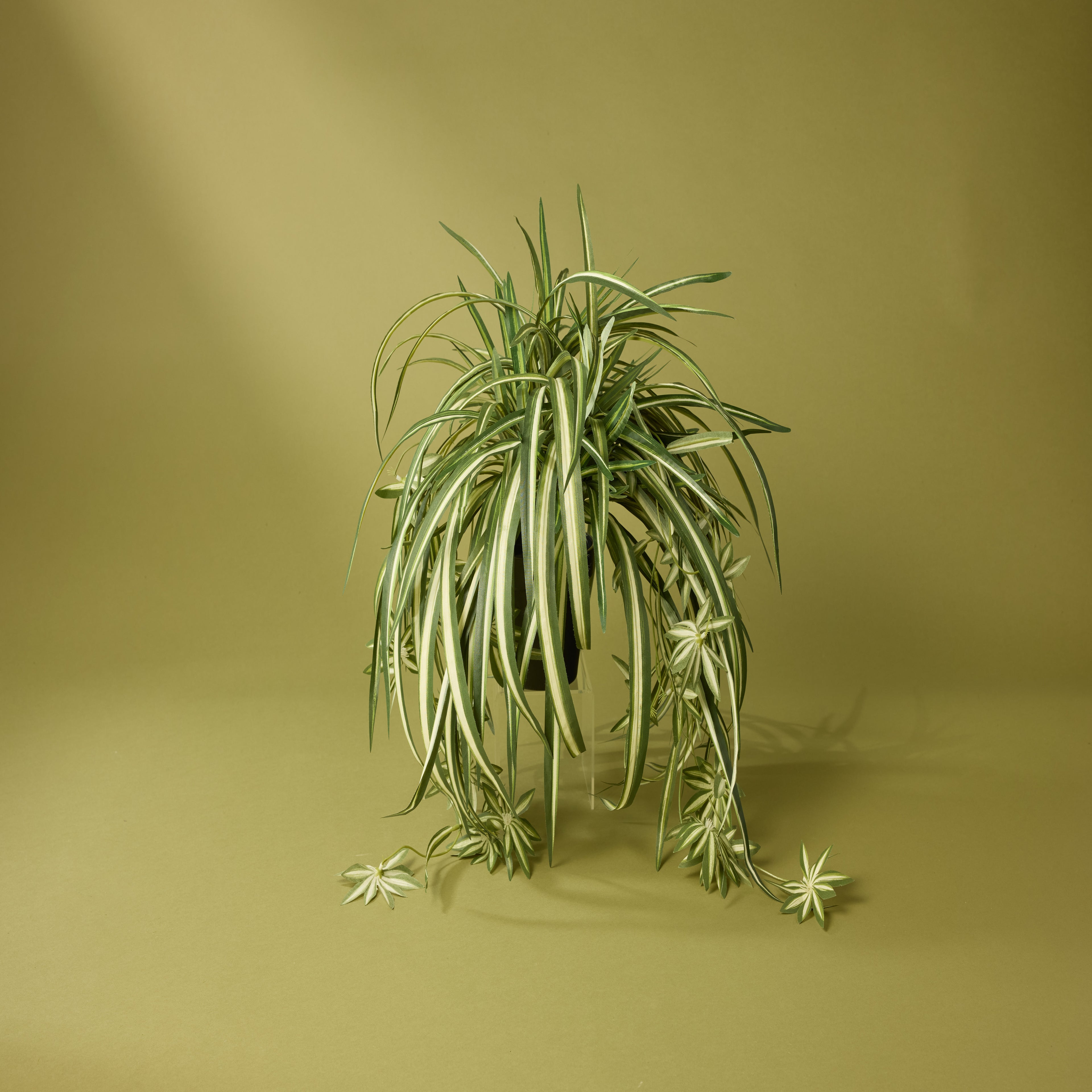 Faux Spider Plant - Garden Pot | 65cm