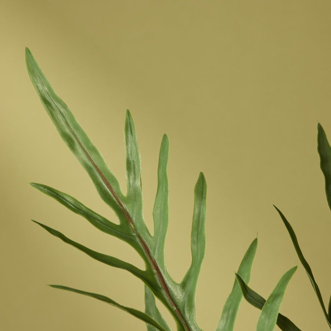 Faux Blue Star Fern Pot | Green - 81cm