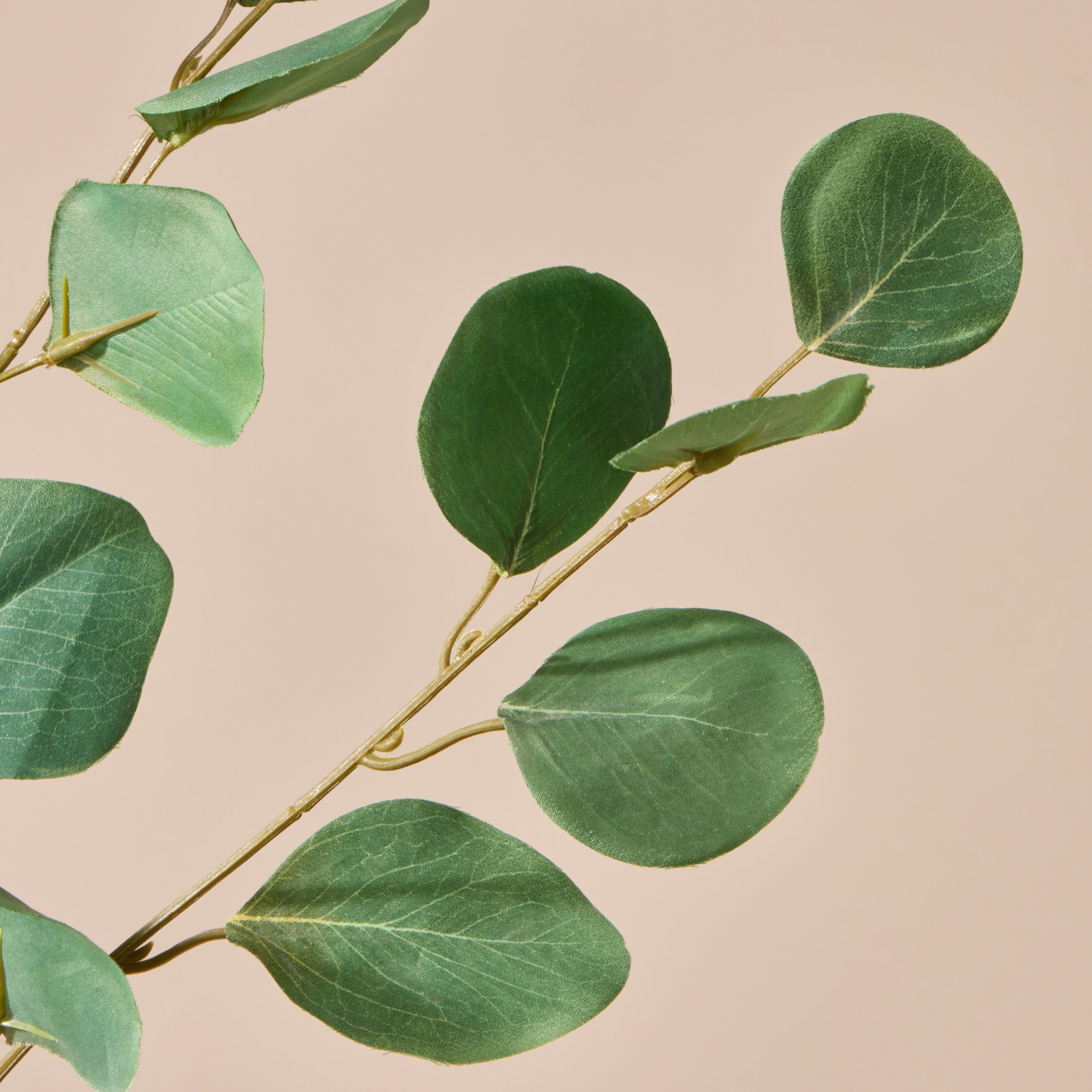 Faux Silver Dollar Eucalyptus Spray | Green - 90cm