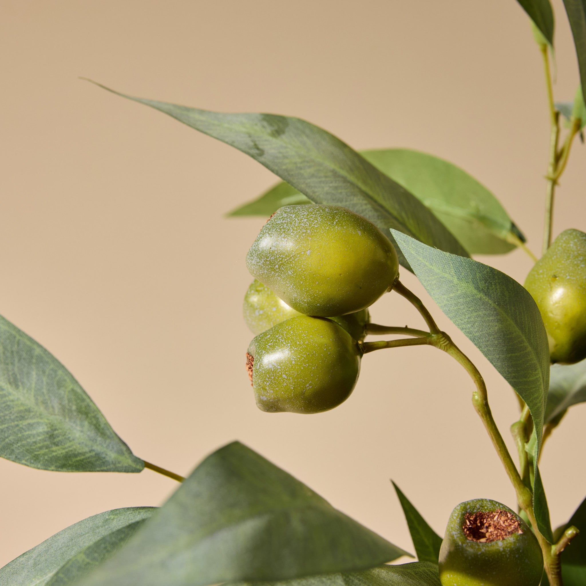 Faux Gum Nut Eucalyptus Arrangement - Pail Vase