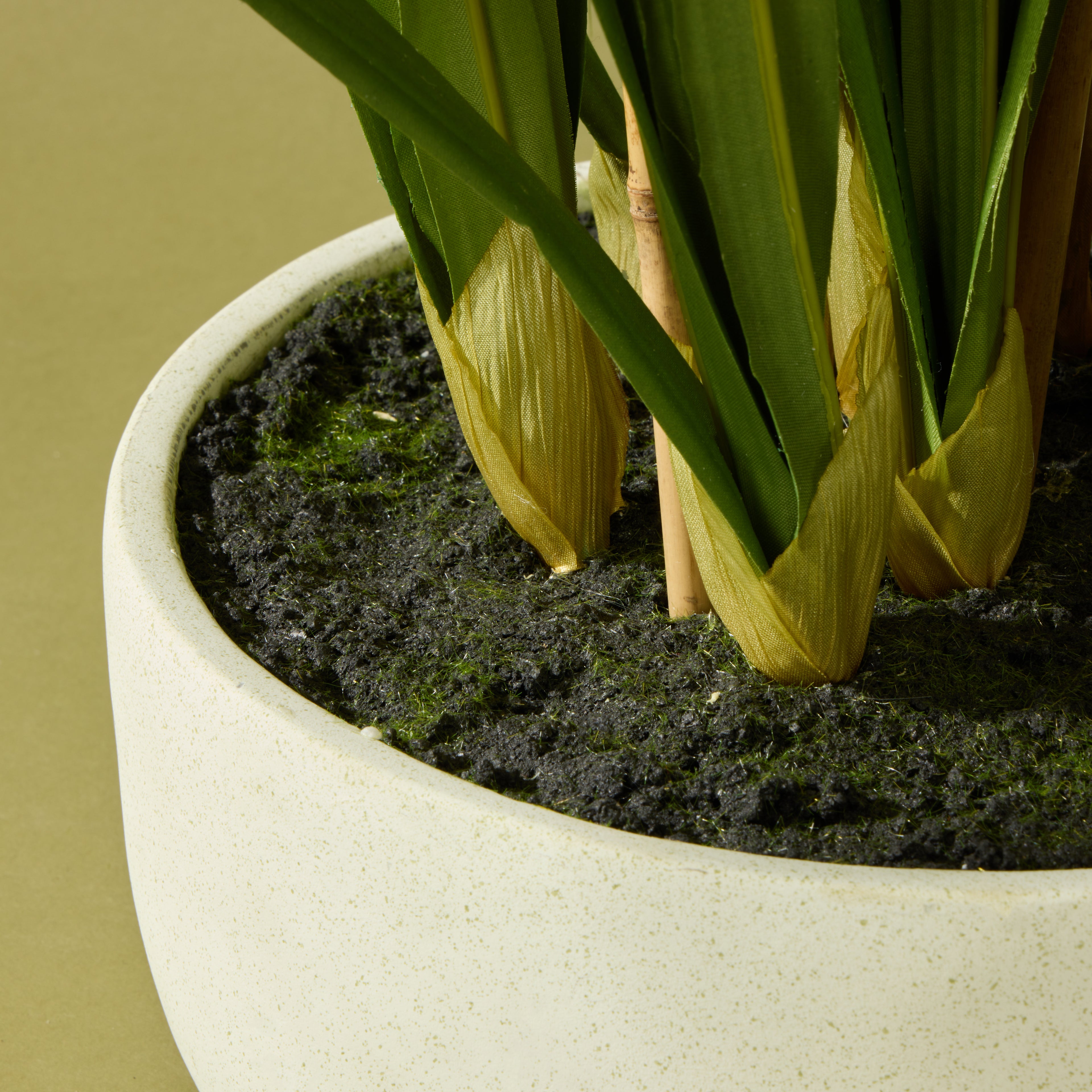 Faux Cymbidium Orchid Pot | White - 85cm