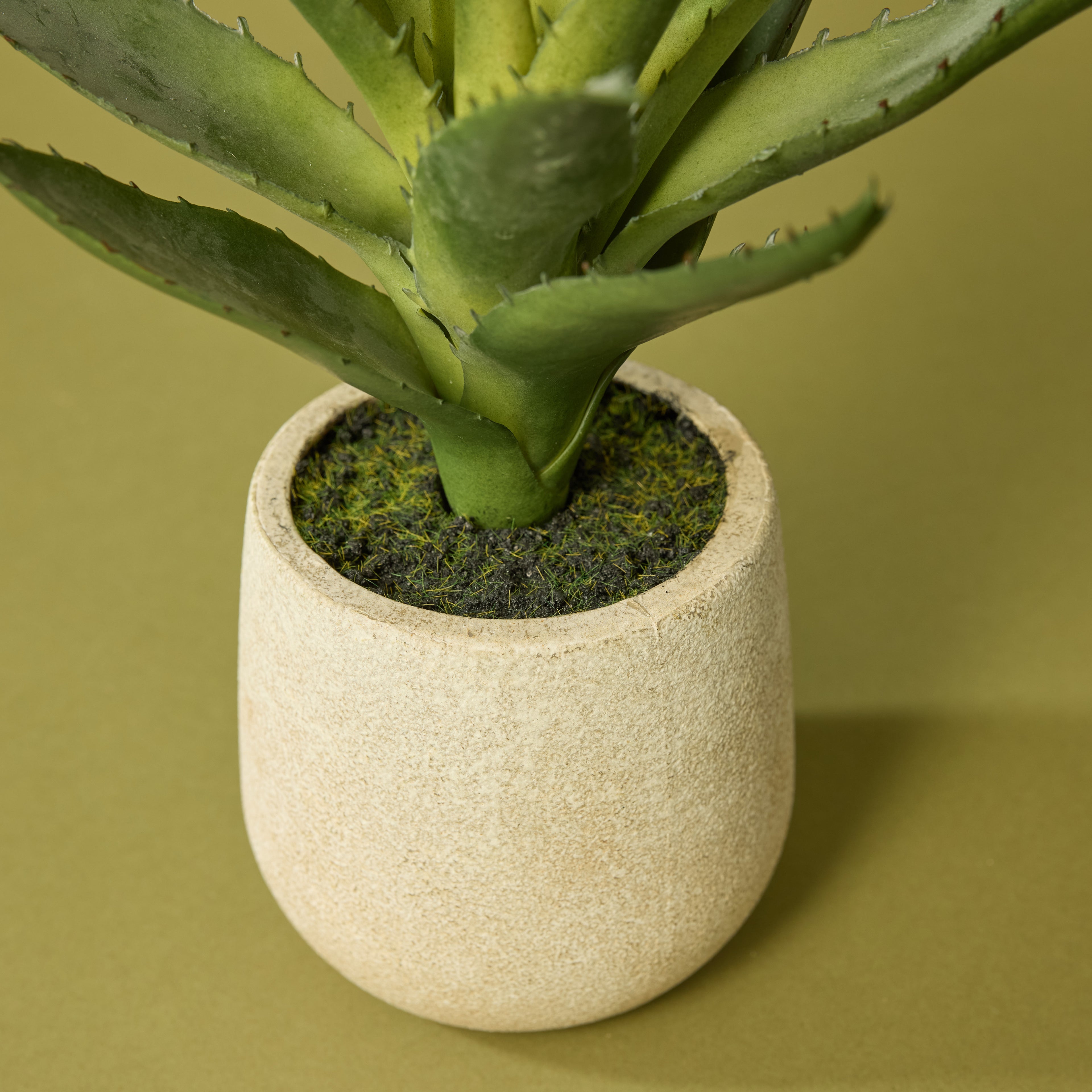 Faux Aloe Plant - Cream Pot | 23cm