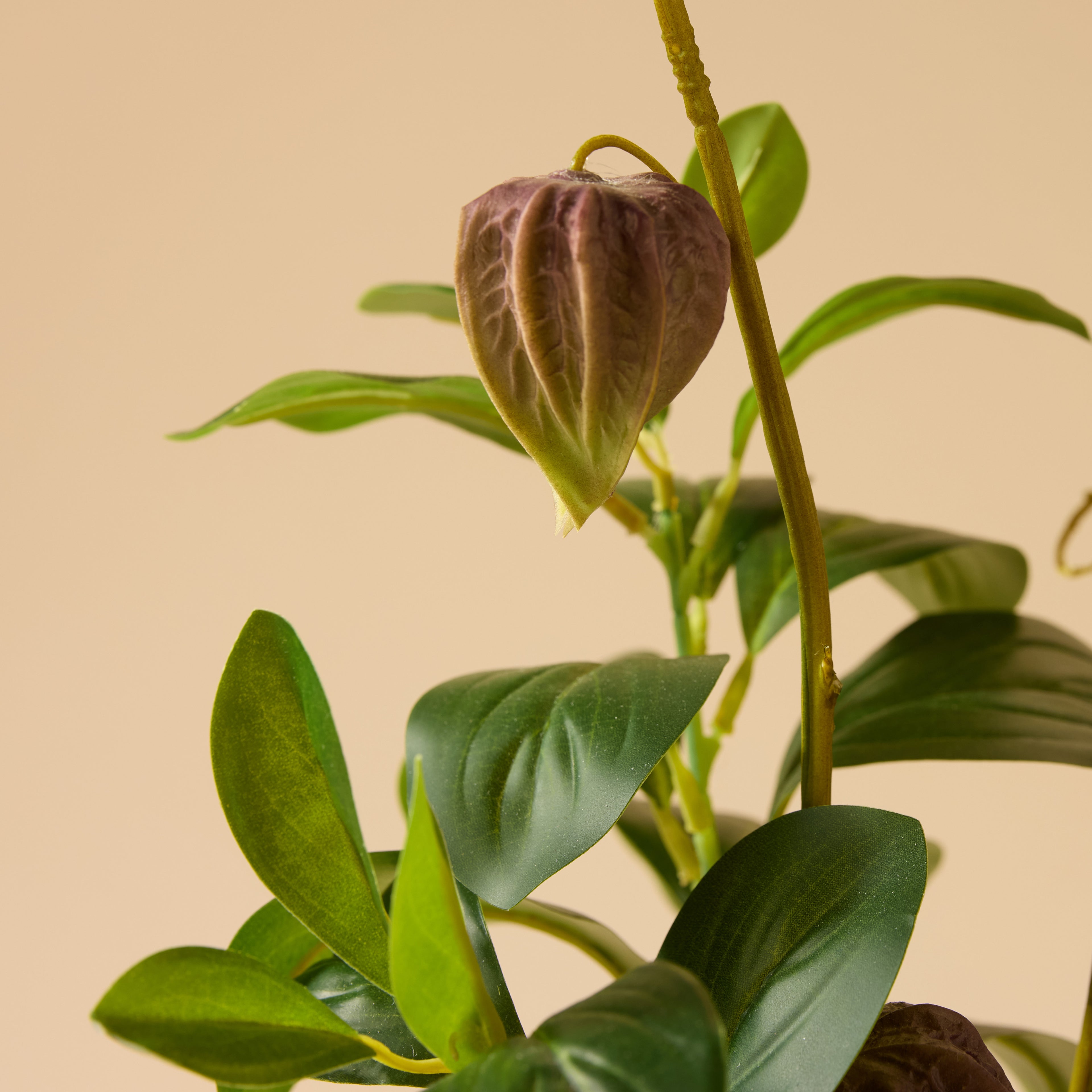 Faux Chinese Lantern Lush Leaf - Maliah Pot Wide | Green - 55cm