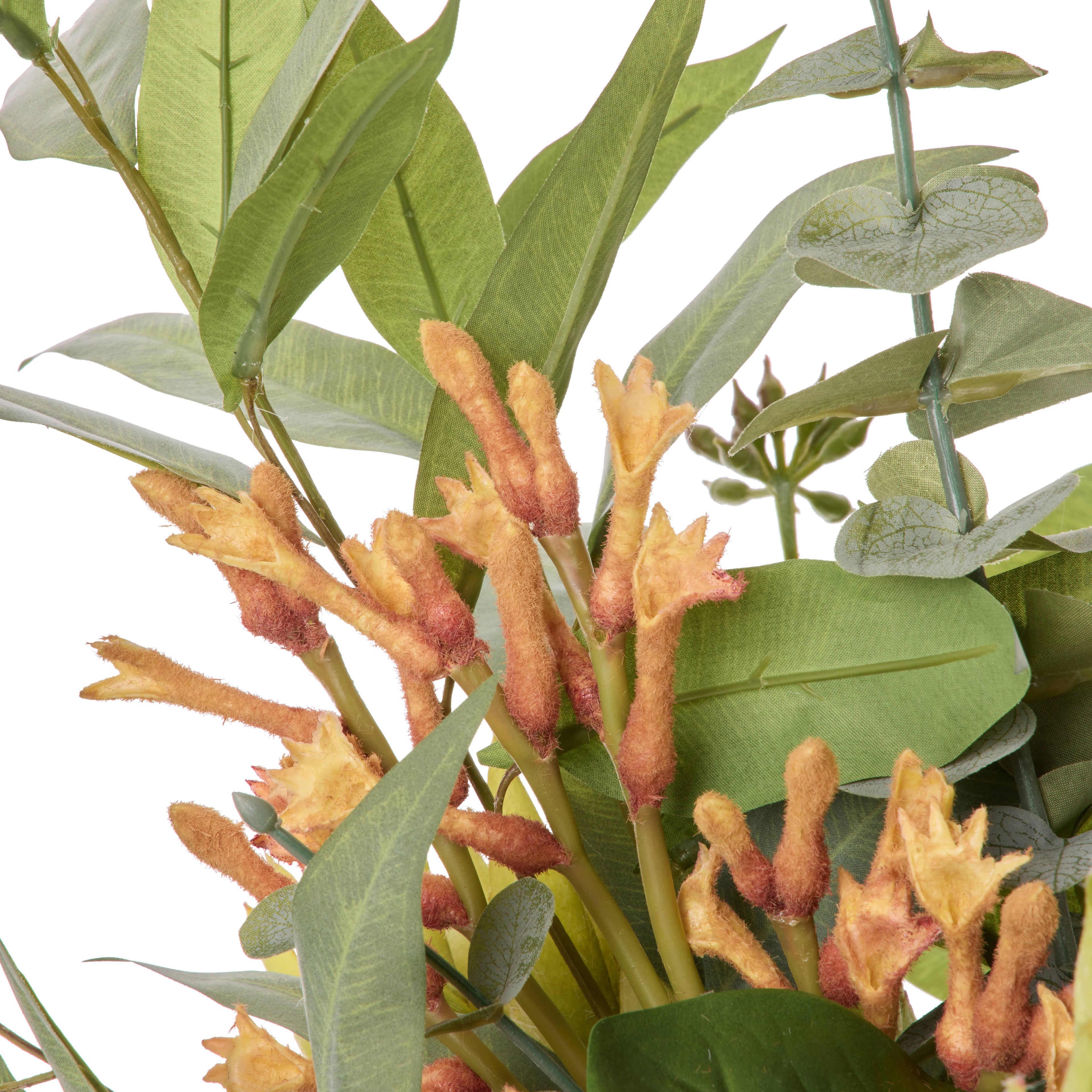 Faux Protea Kangaroo Paw - Claire Vase | Green - 68cm