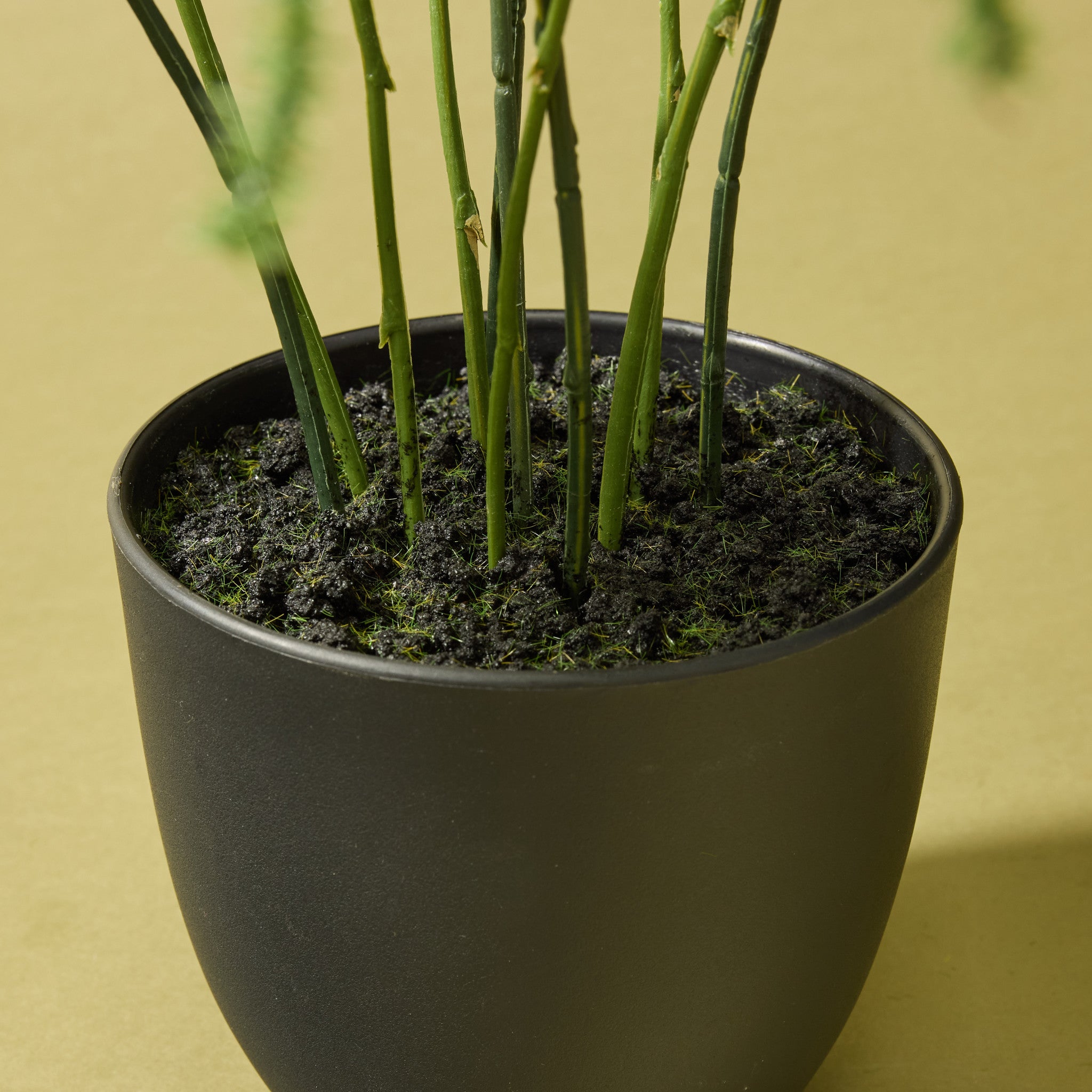 Faux Asparagus Fern Pot | 54cm